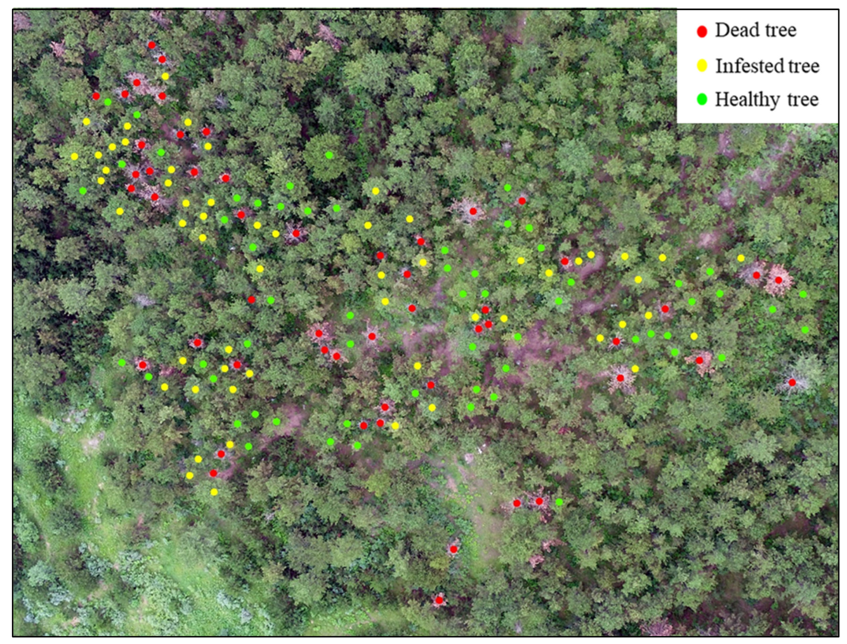 Remotesensing 15 00407 g004 Remotesensing 15 00407 g004