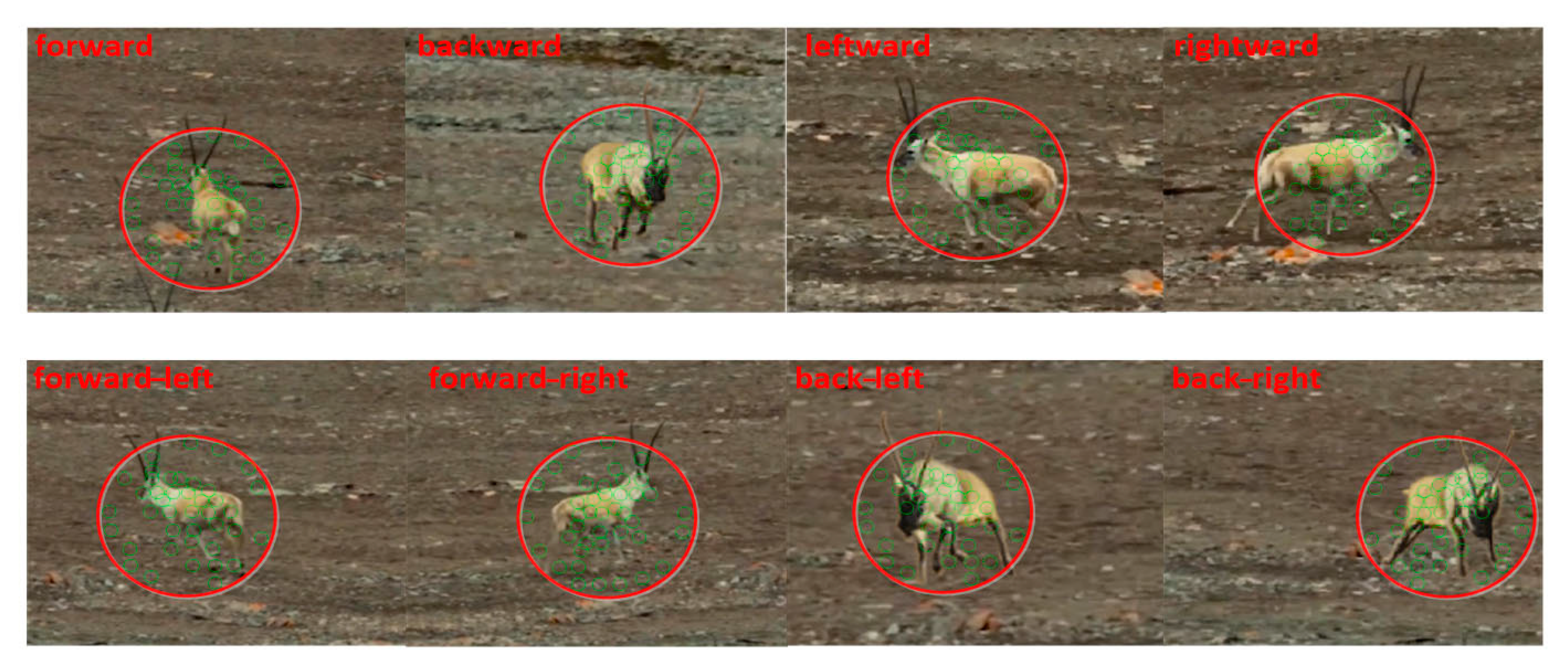 Remotesensing 15 00417 g009