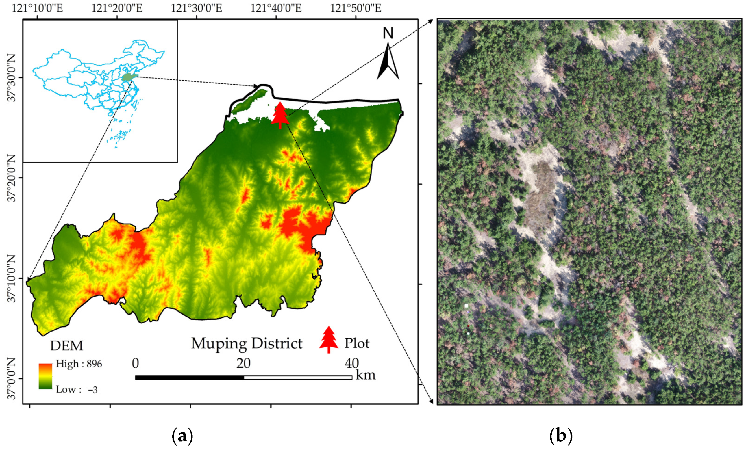 Remotesensing 15 00444 g001 Remotesensing 15 00444 g001