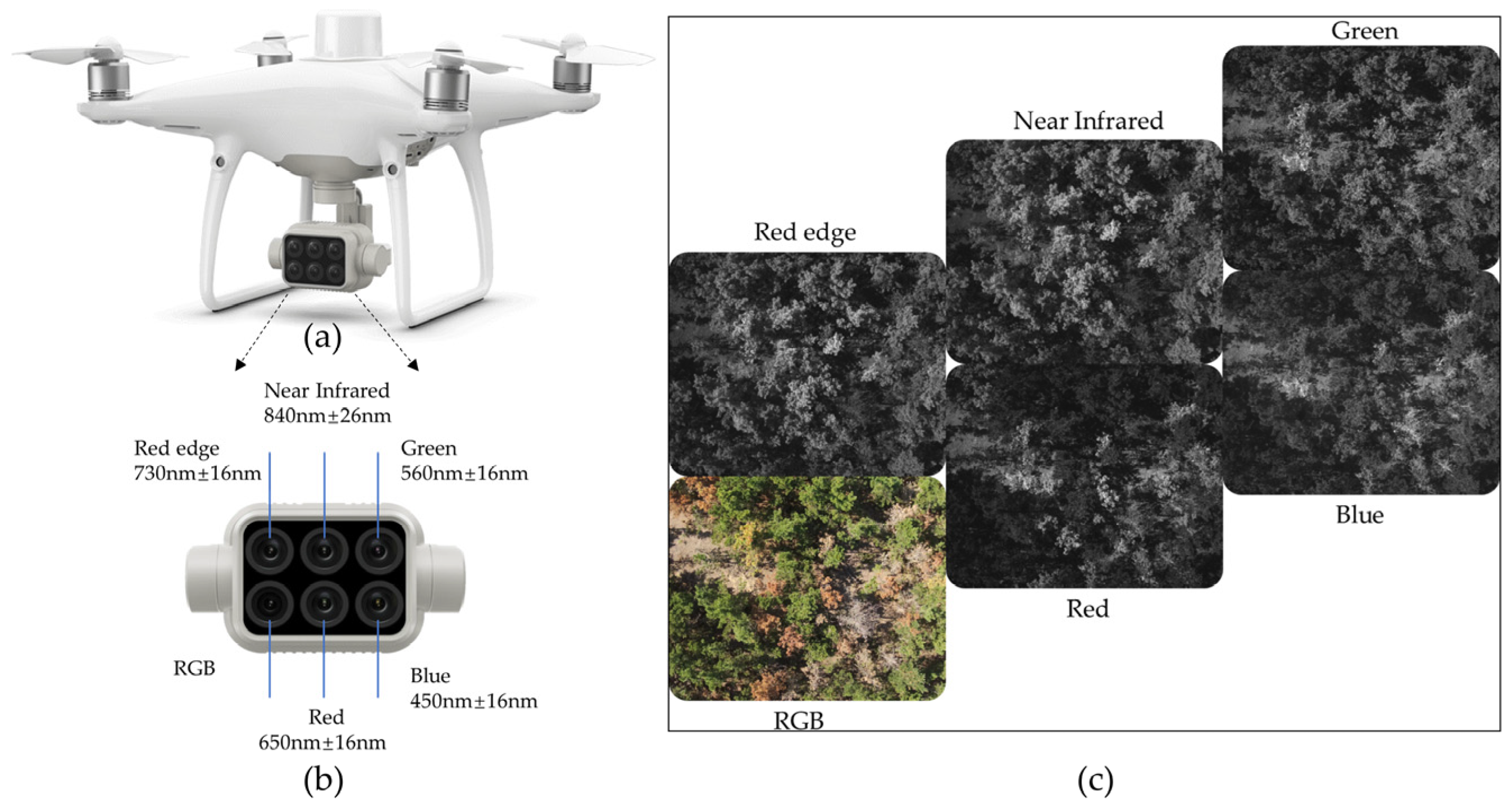 Remotesensing 15 00444 g002 Remotesensing 15 00444 g002