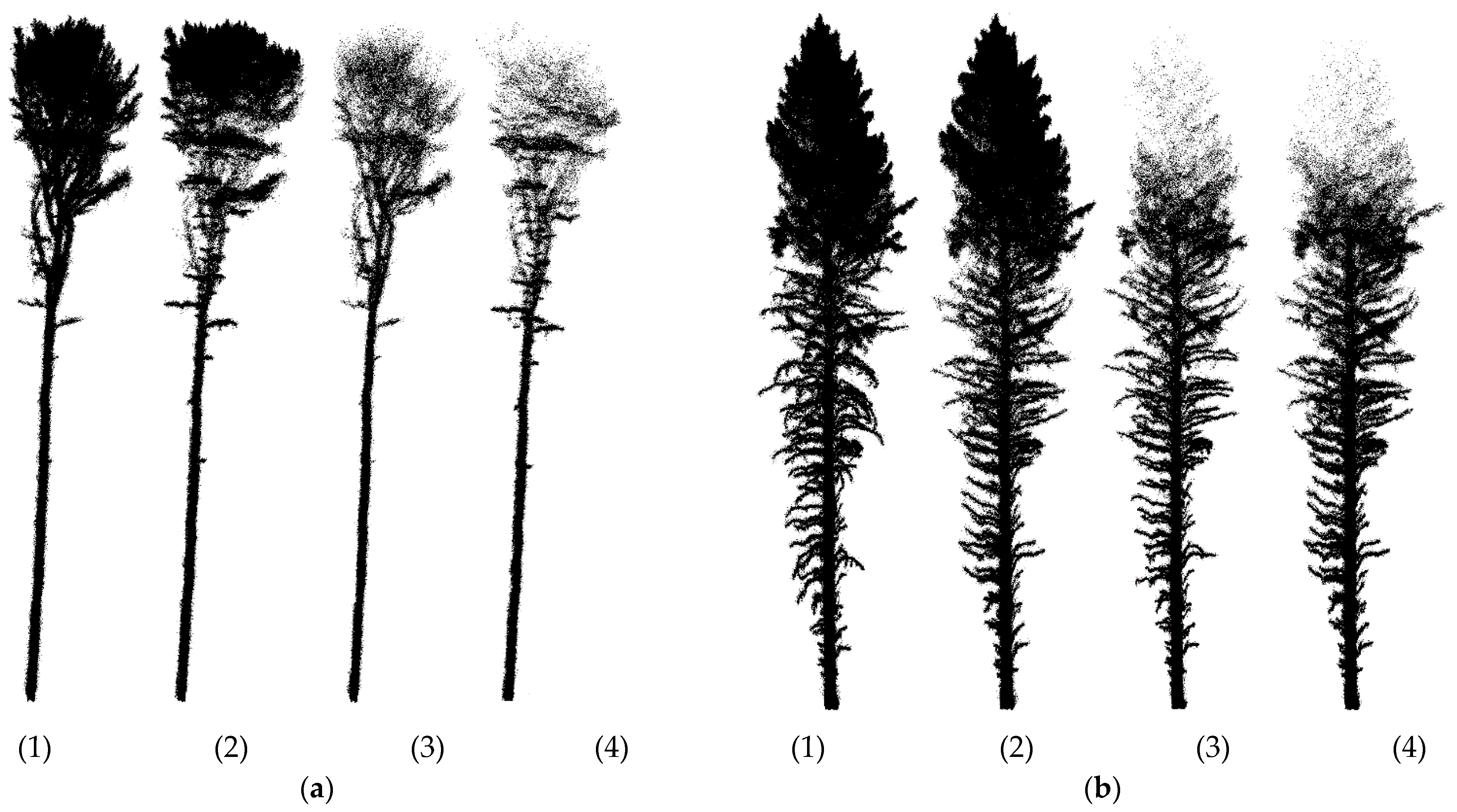 Remotesensing 15 00450 g003 Remotesensing 15 00450 g003