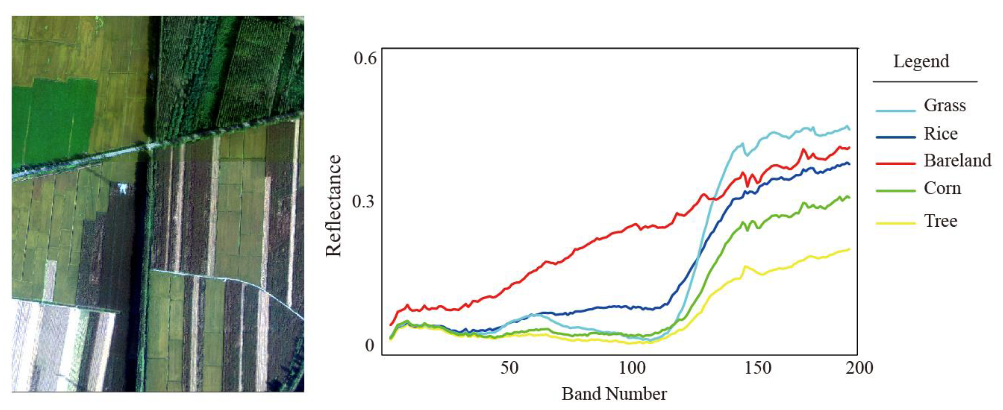 An Attention-Based 3D Convolutional Autoencoder for Few-Shot ...