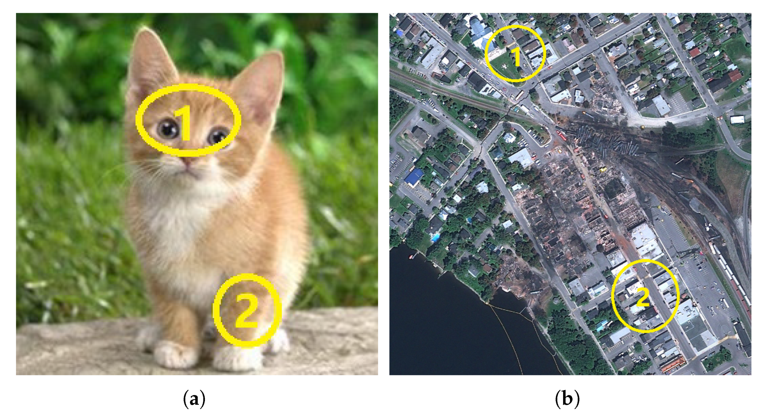 Remotesensing 15 00470 g002