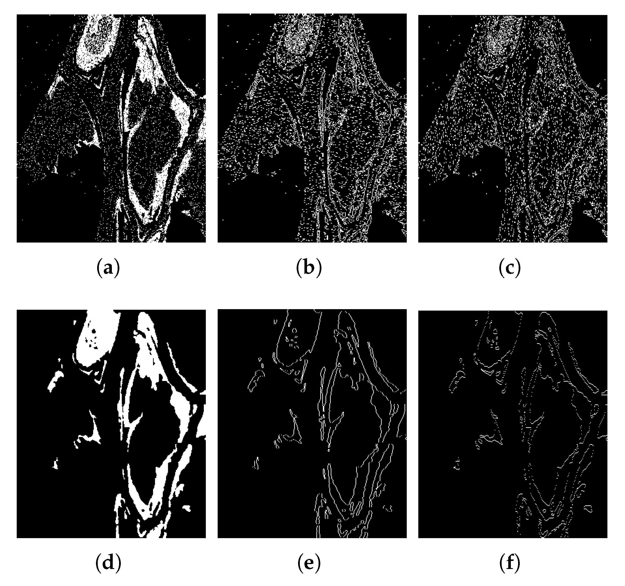Remotesensing 15 00470 g007