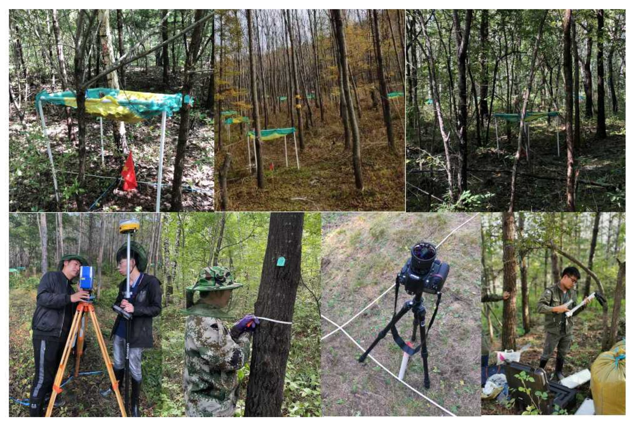 Remotesensing 15 00471 g002 Remotesensing 15 00471 g002