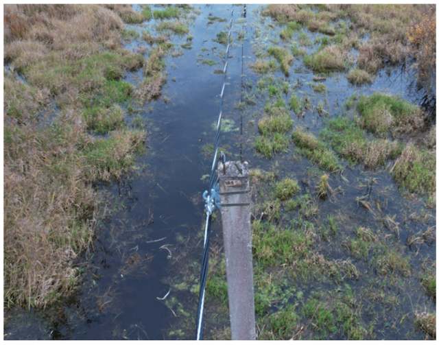 Remotesensing 15 00489 g002