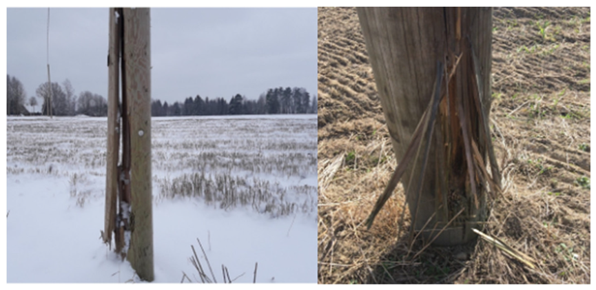 Remotesensing 15 00489 g007