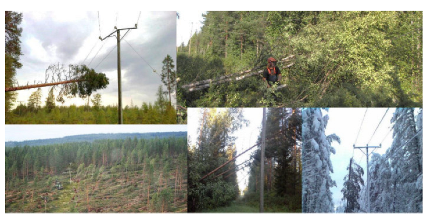 Remotesensing 15 00489 g025