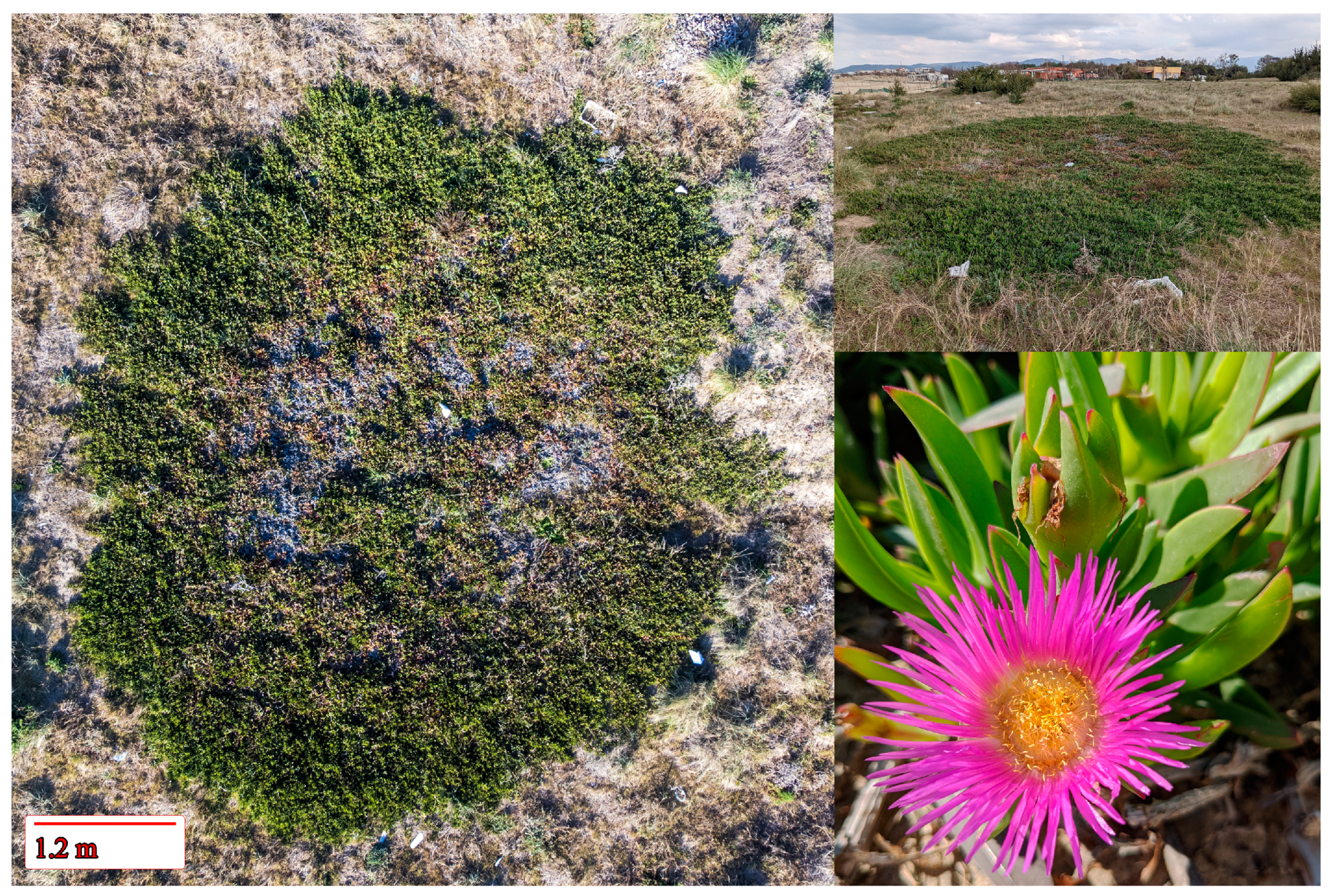 Remotesensing 15 00503 g001