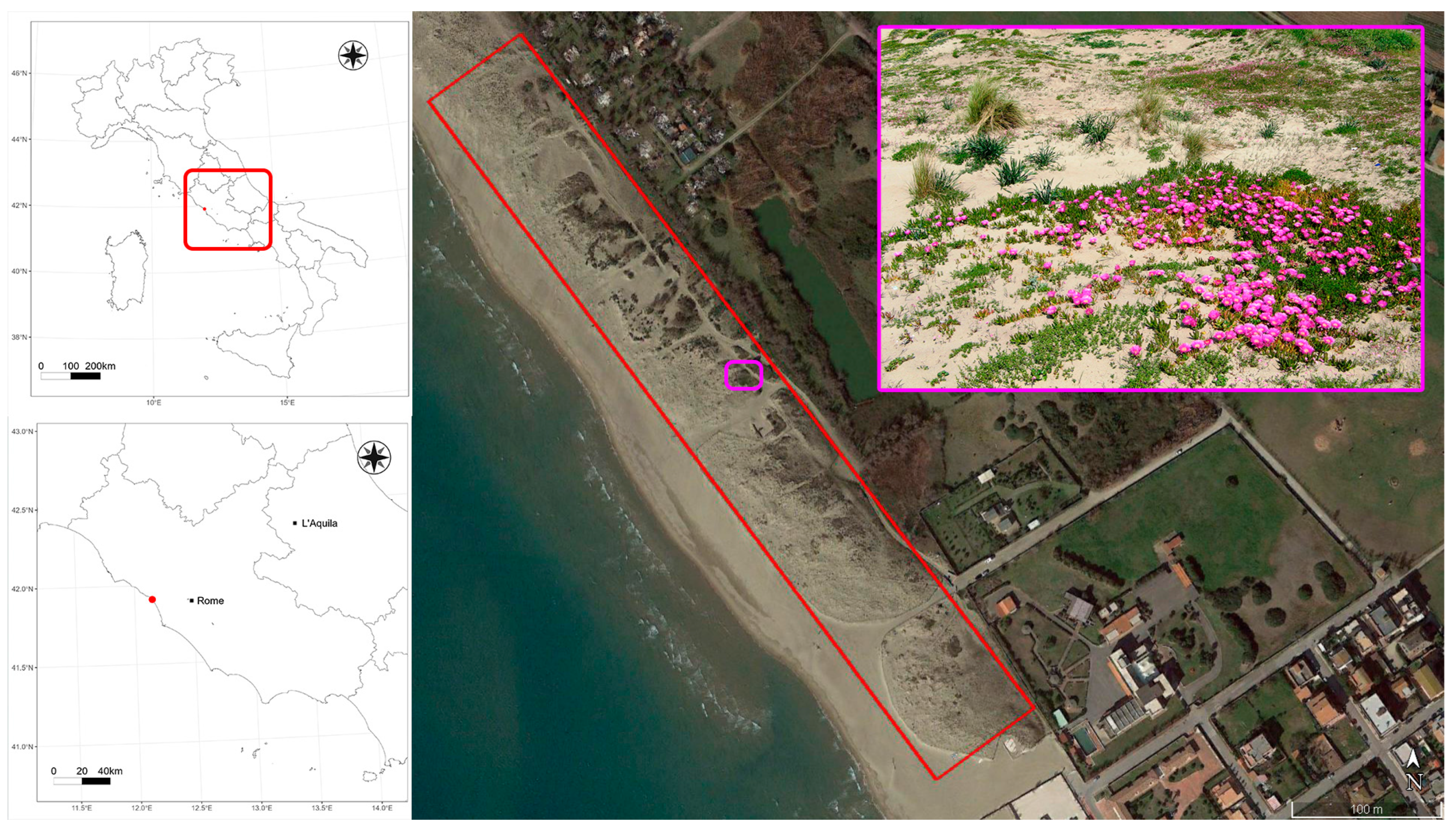 Remotesensing 15 00503 g002