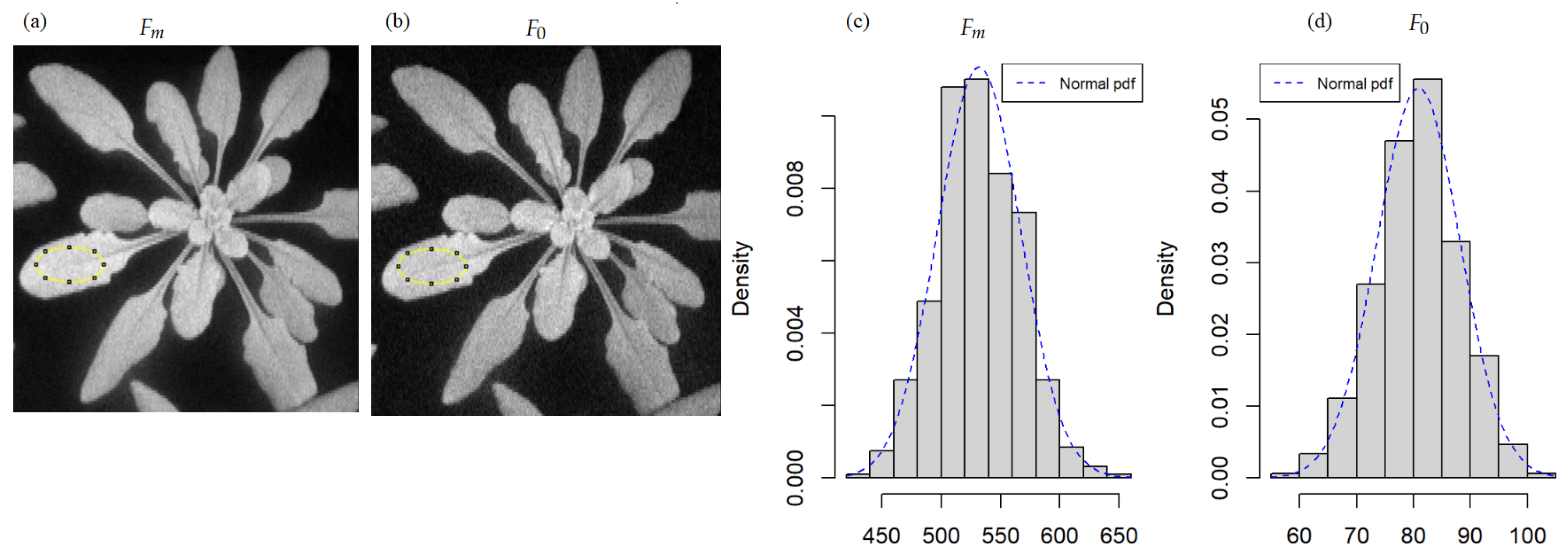 Remotesensing 15 00528 g001