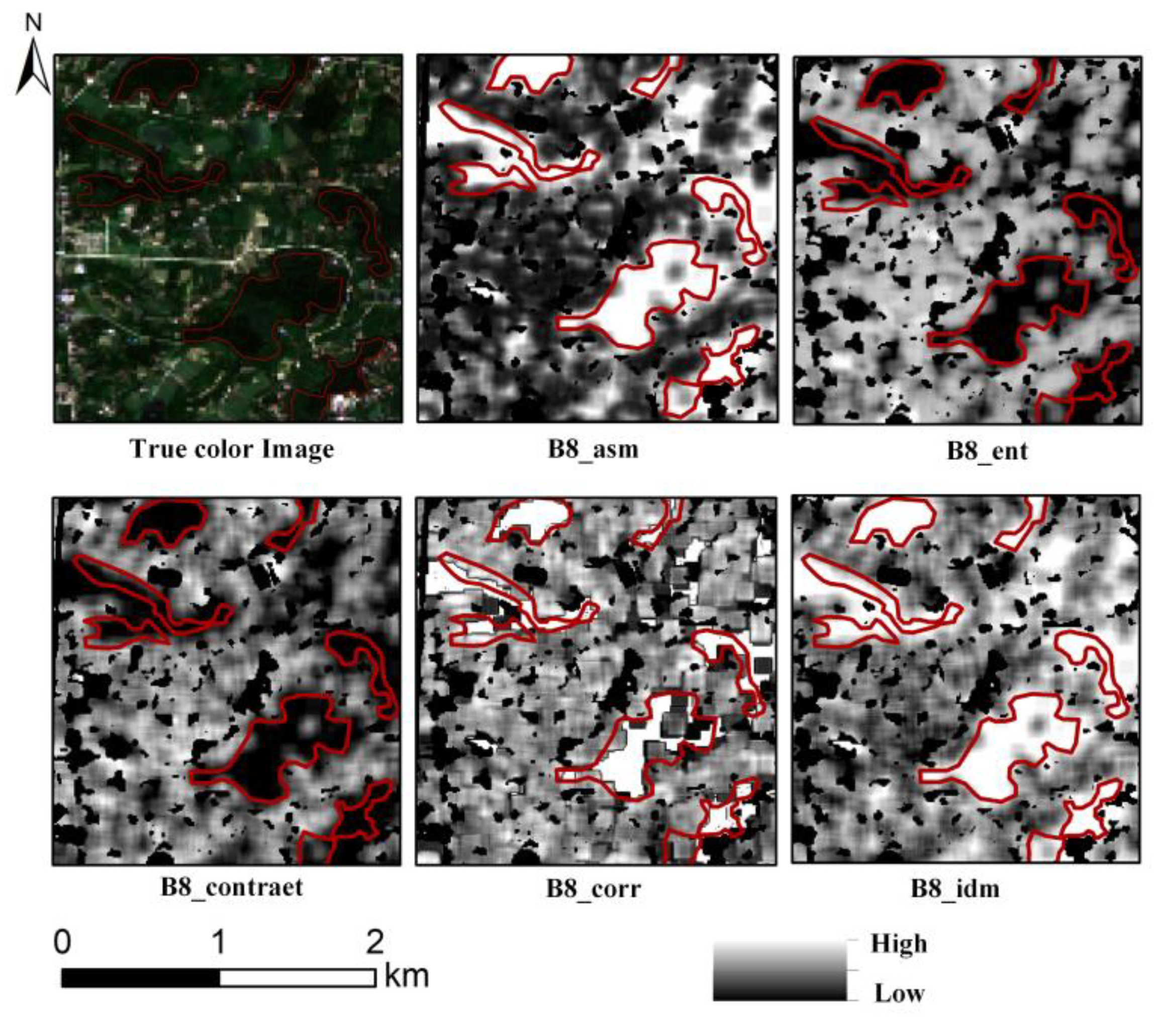 Remotesensing 15 00554 g006