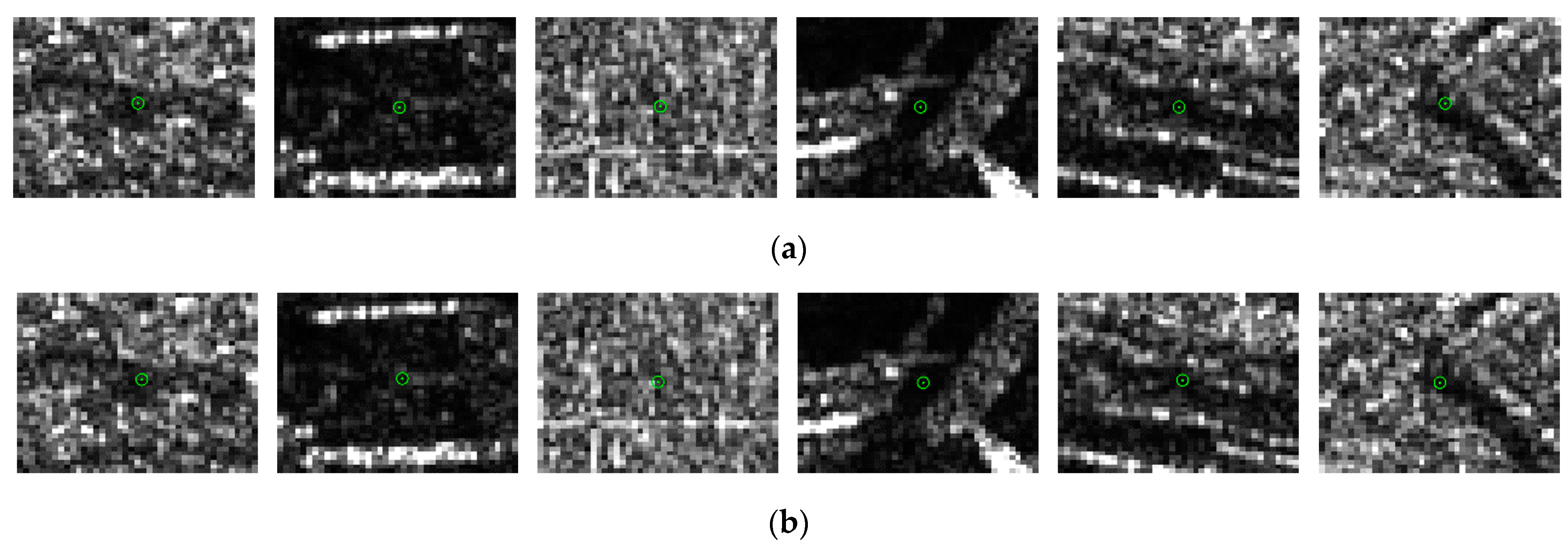 Remotesensing 15 00572 g009