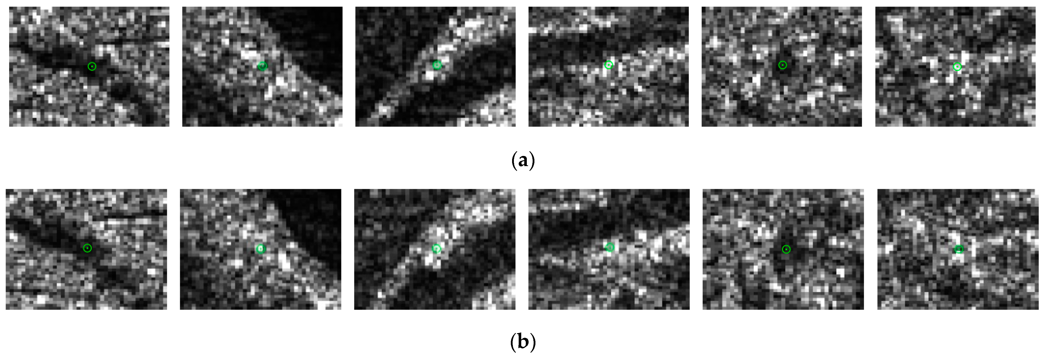 Remotesensing 15 00572 g013