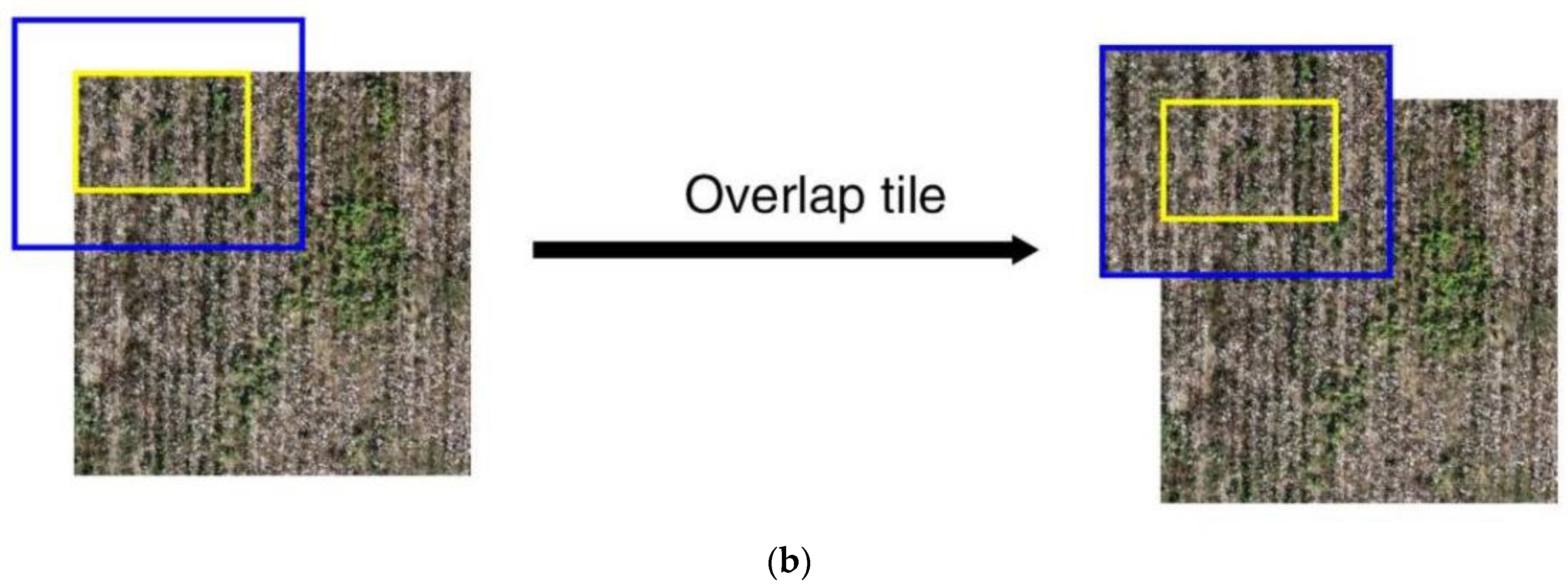 Remotesensing 15 00586 g006b