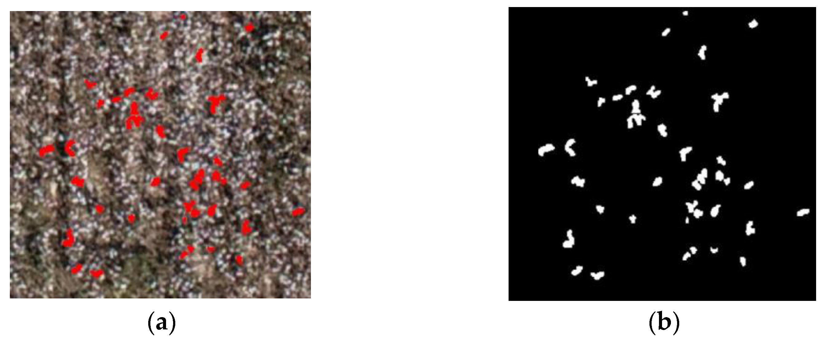 Remotesensing 15 00586 g007