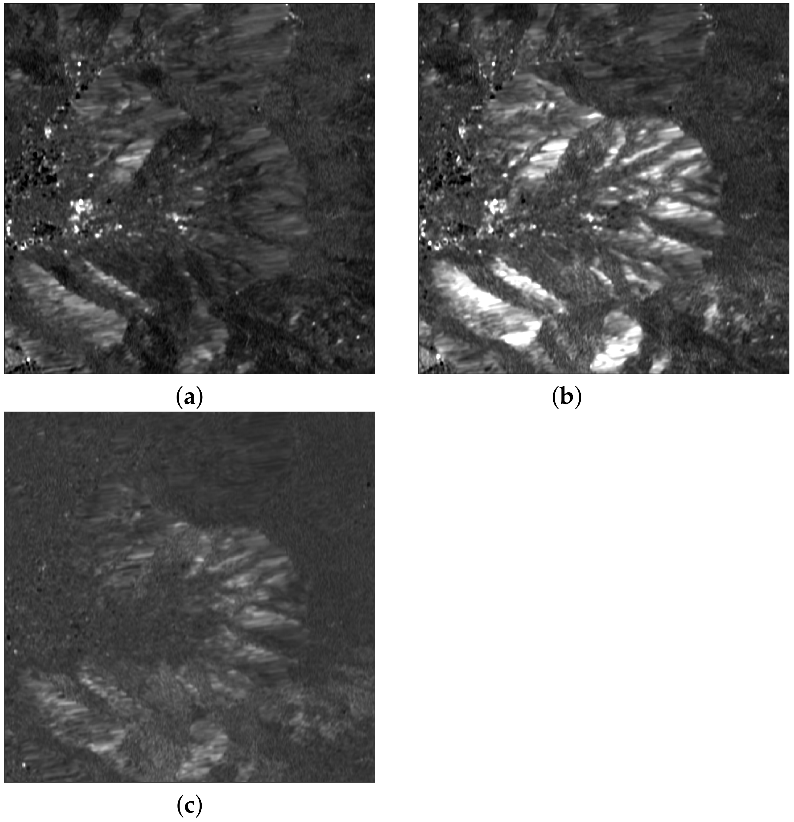 Remotesensing 15 00638 g009