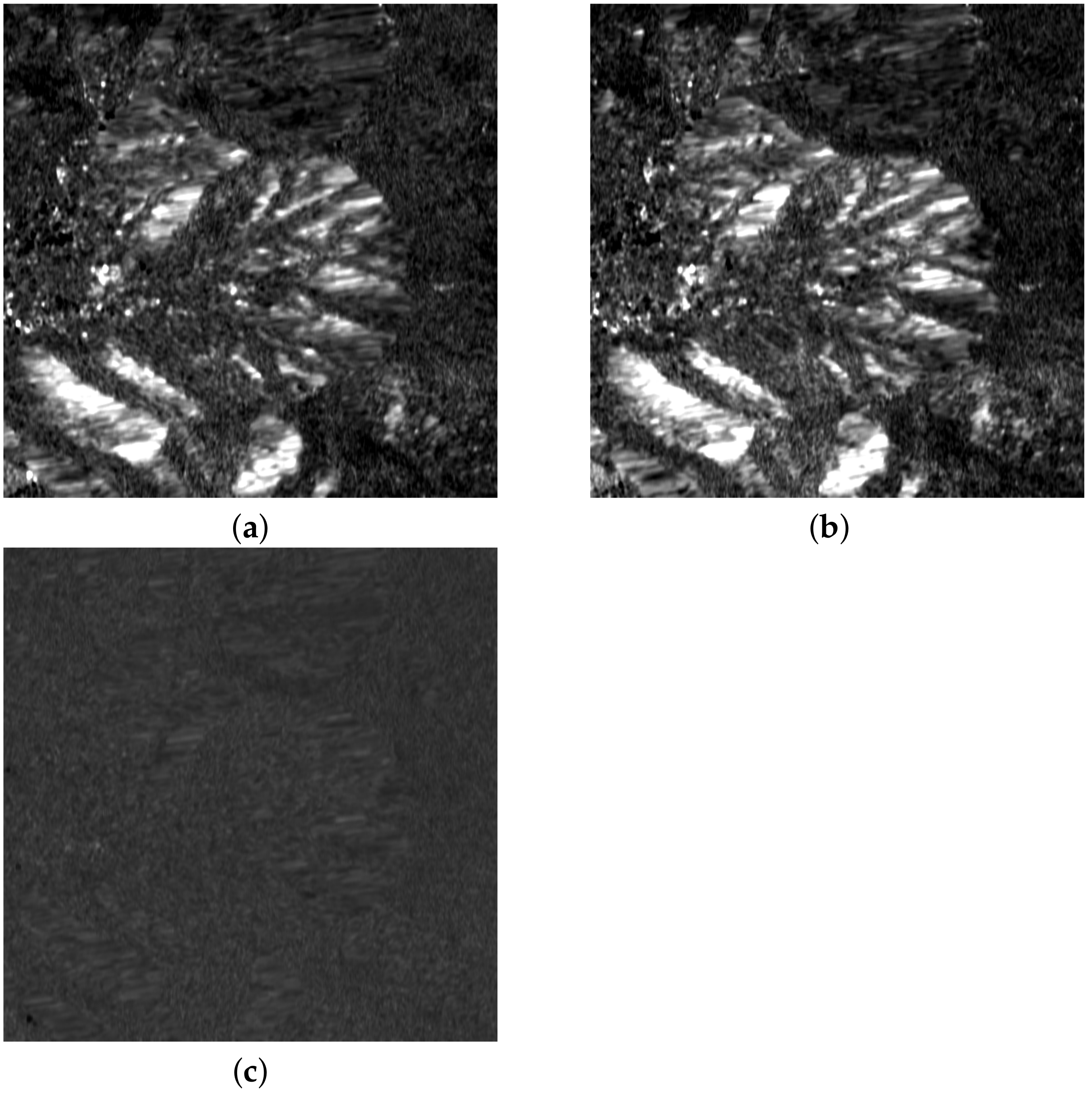 Remotesensing 15 00638 g011