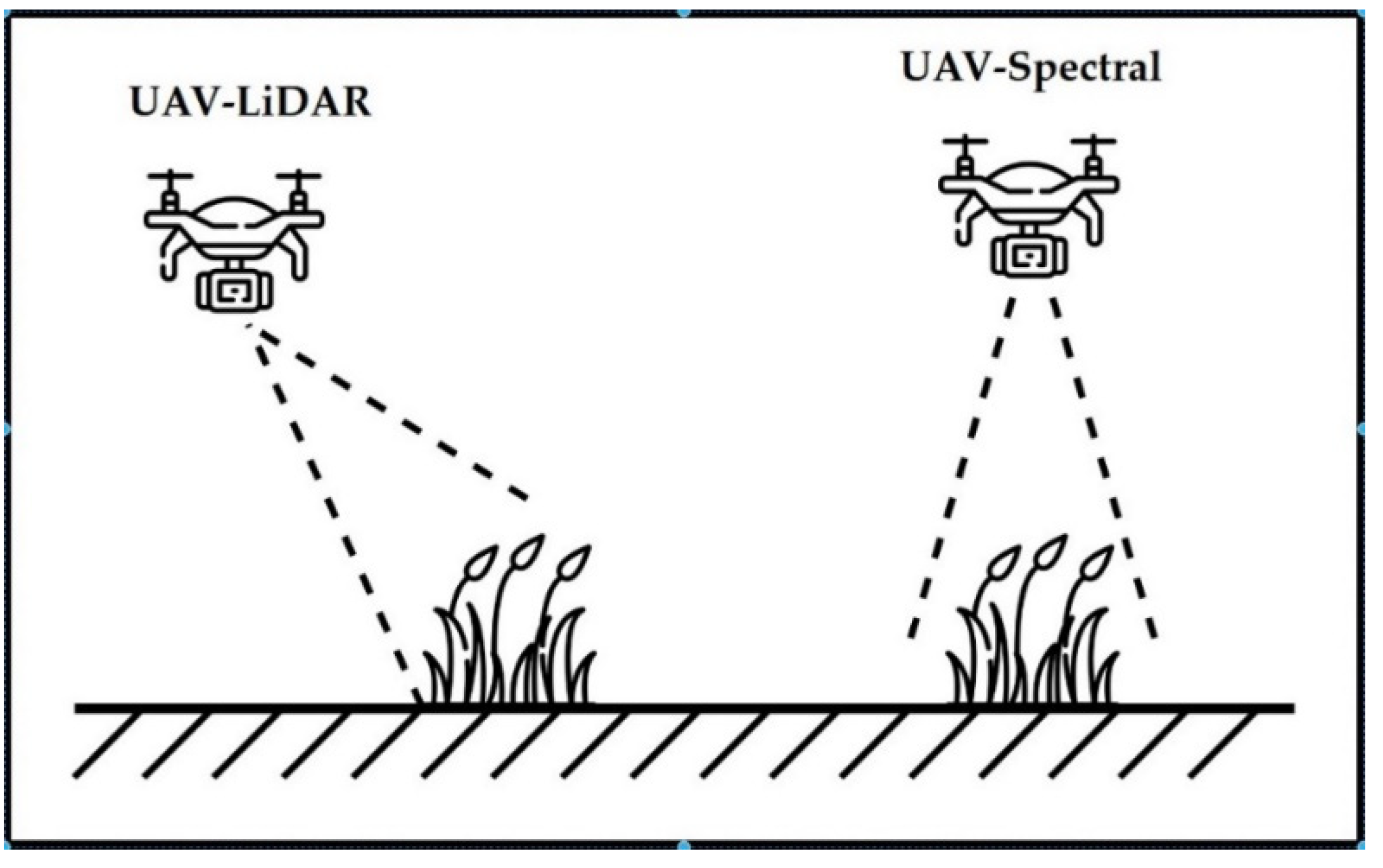 Remotesensing 15 00639 g006 Remotesensing 15 00639 g006