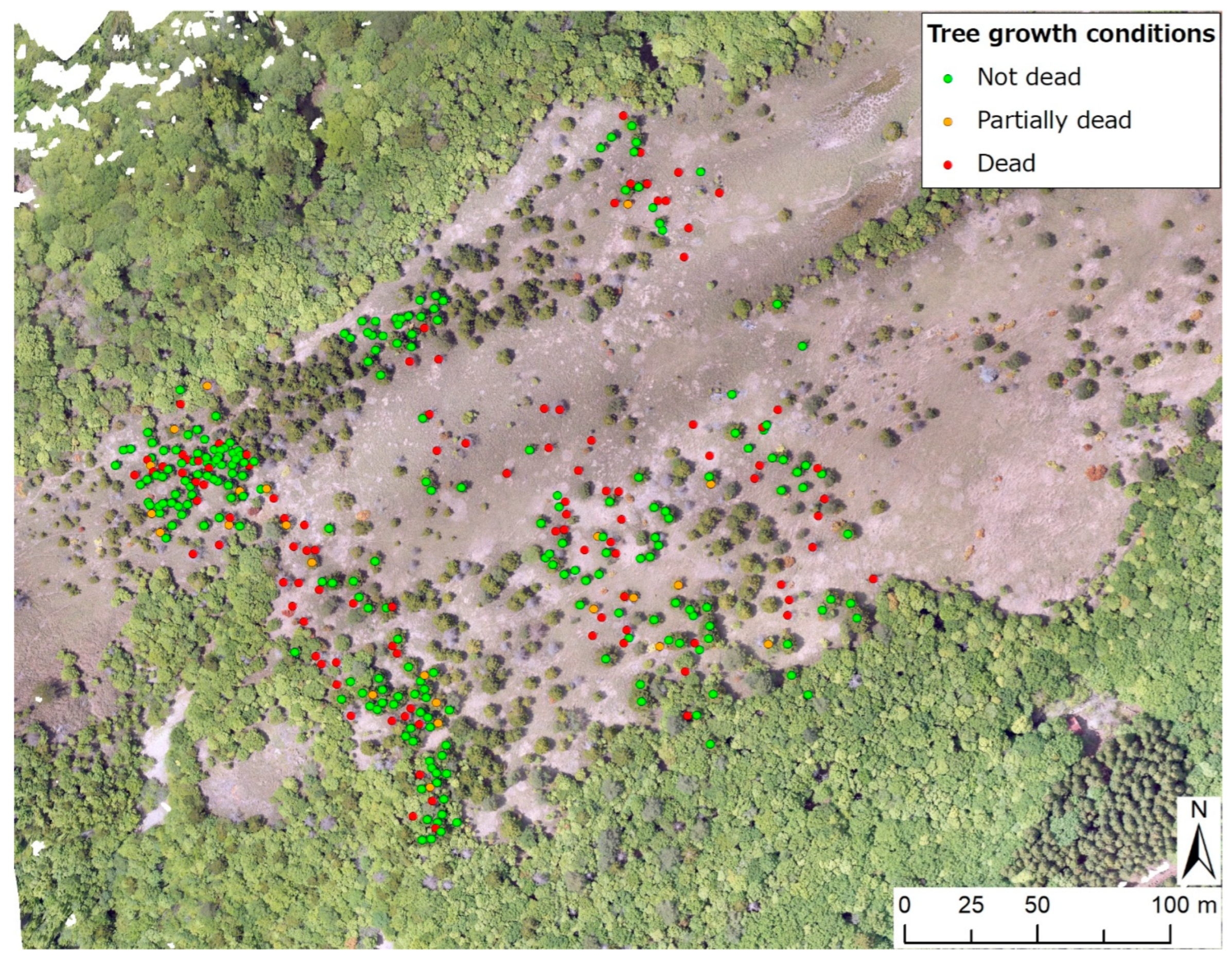 Remotesensing 15 00644 g004 Remotesensing 15 00644 g004