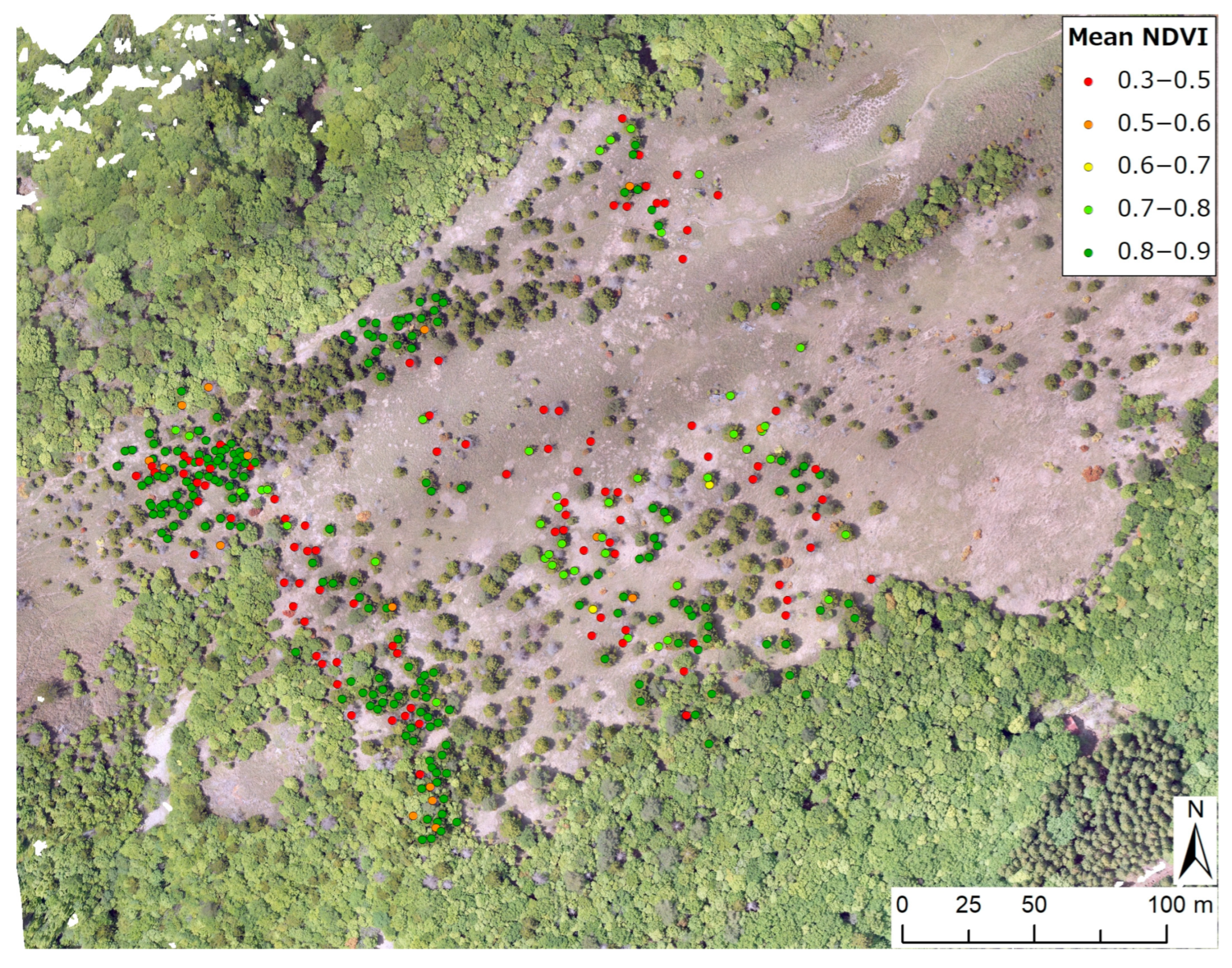 Remotesensing 15 00644 g006 Remotesensing 15 00644 g006