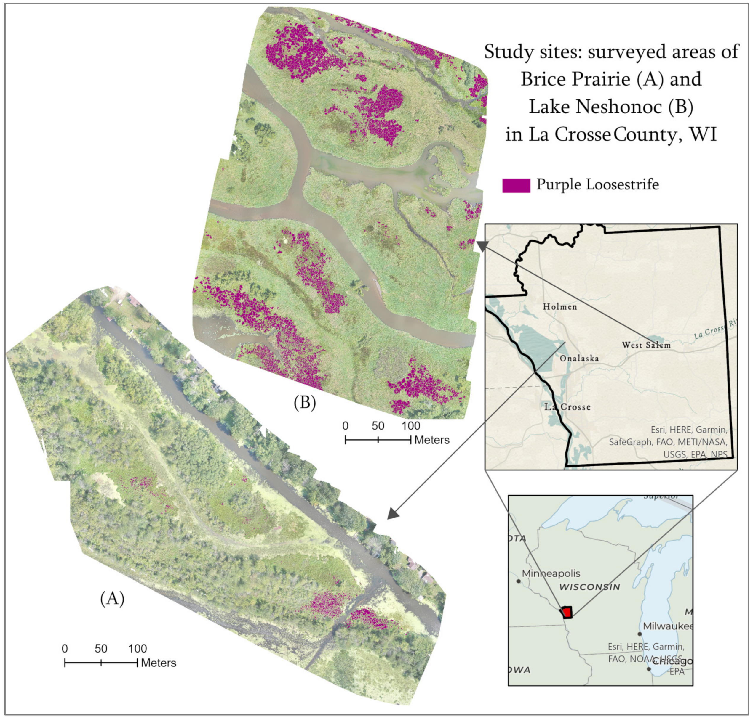 Remotesensing 15 00734 g001 Remotesensing 15 00734 g001