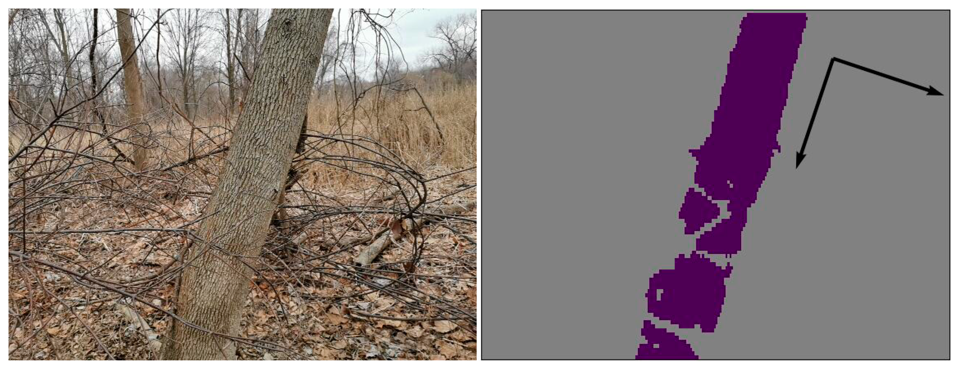 Remotesensing 15 00772 g0a1