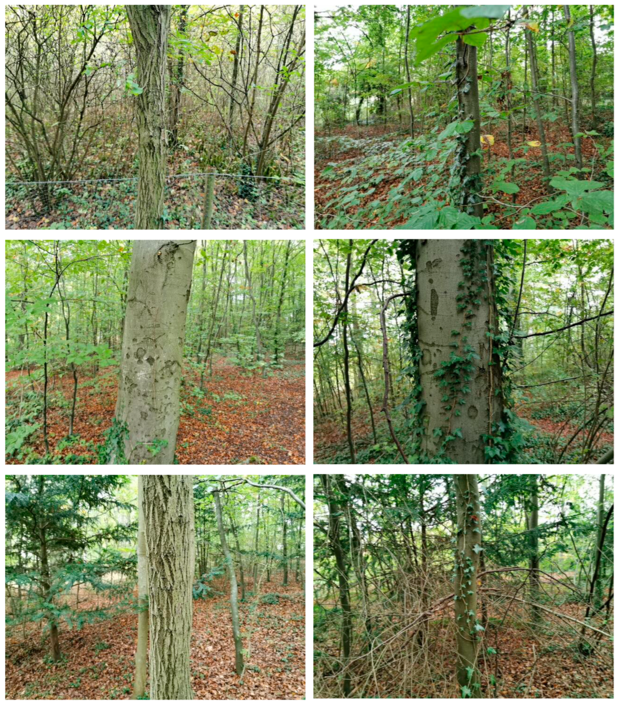 Remotesensing 15 00772 g0a4