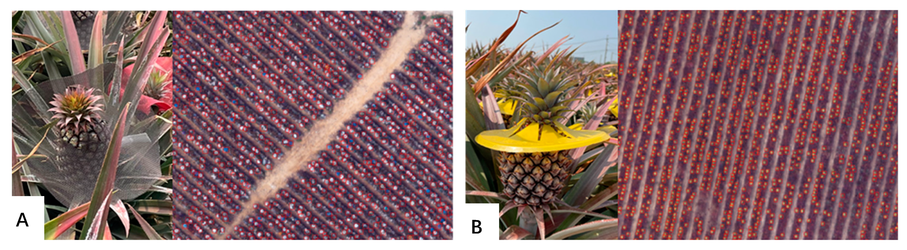 Remotesensing 15 00814 g007