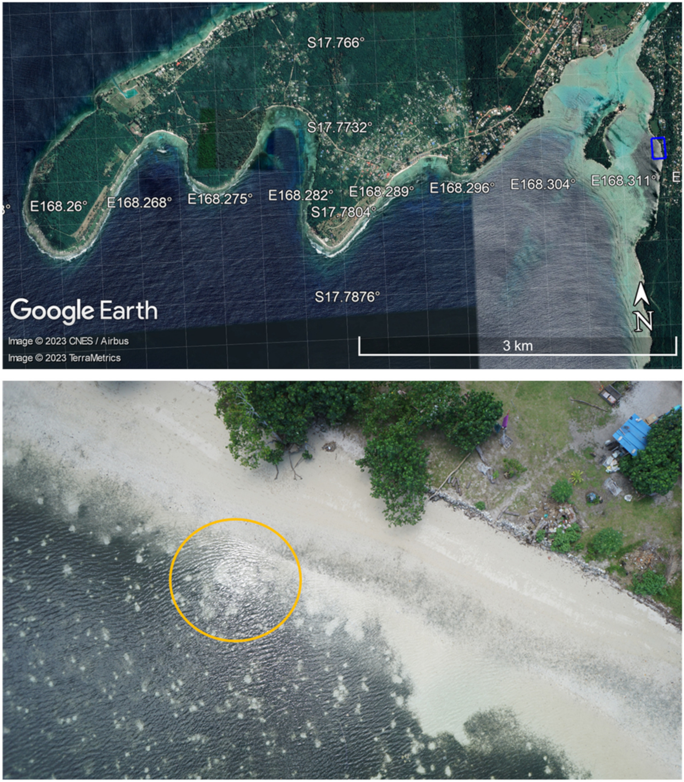 Remotesensing 15 00834 g006