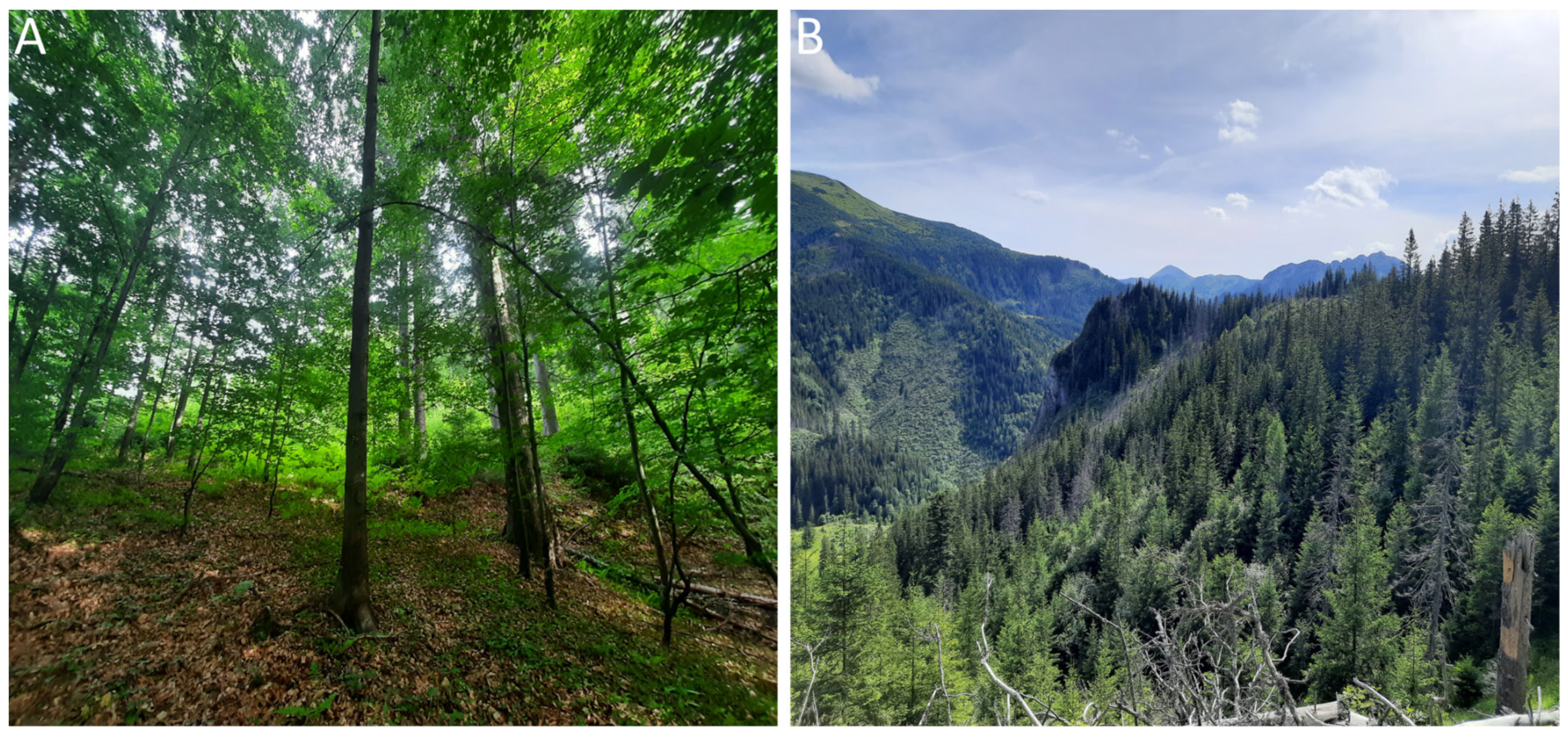 Remotesensing 15 00844 g002