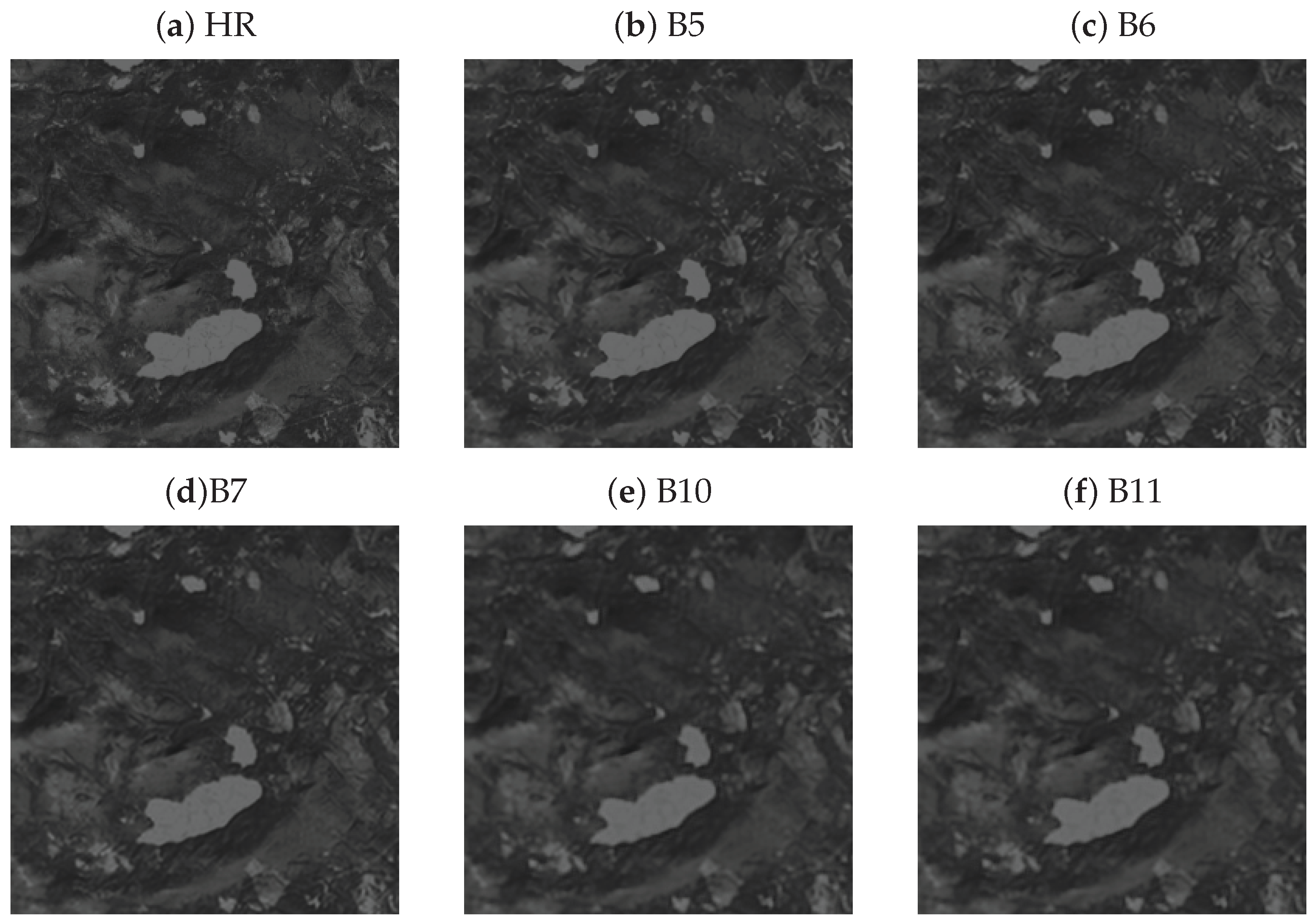 Remotesensing 15 00882 g007 550