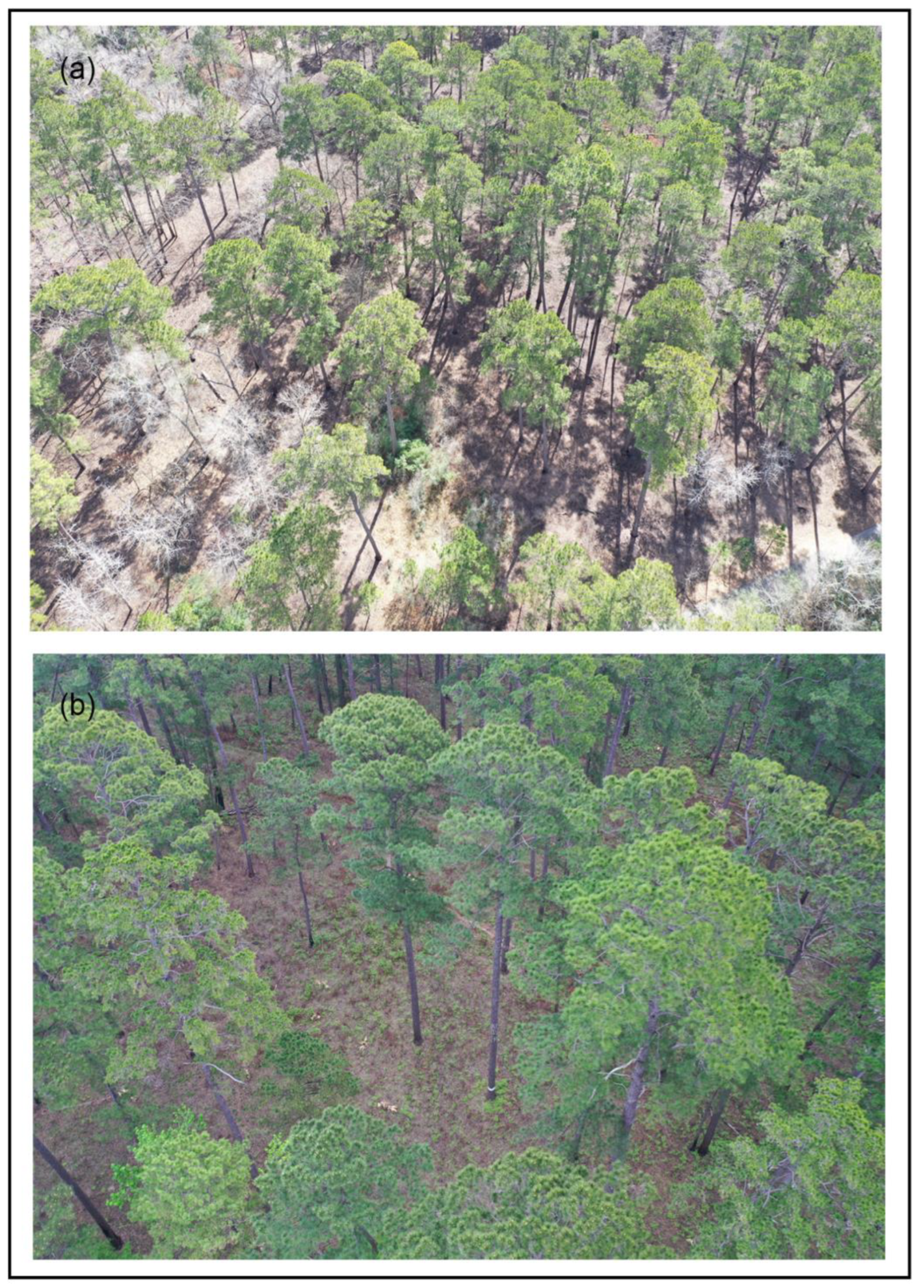 Remotesensing 15 00883 g002 Remotesensing 15 00883 g002