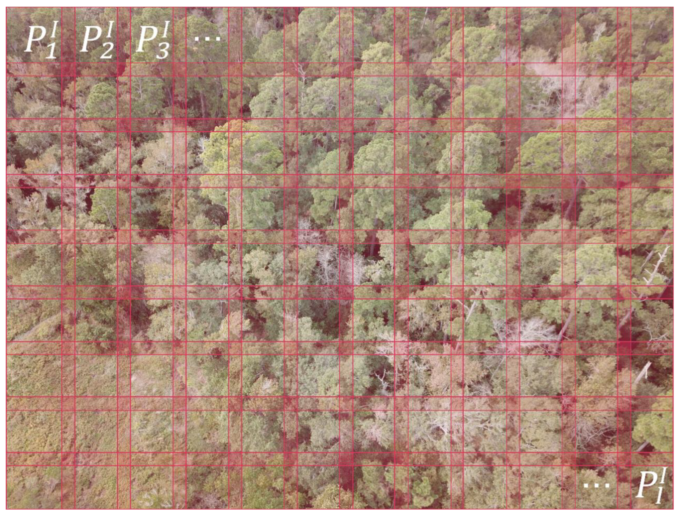 Remotesensing 15 00883 g006 Remotesensing 15 00883 g006