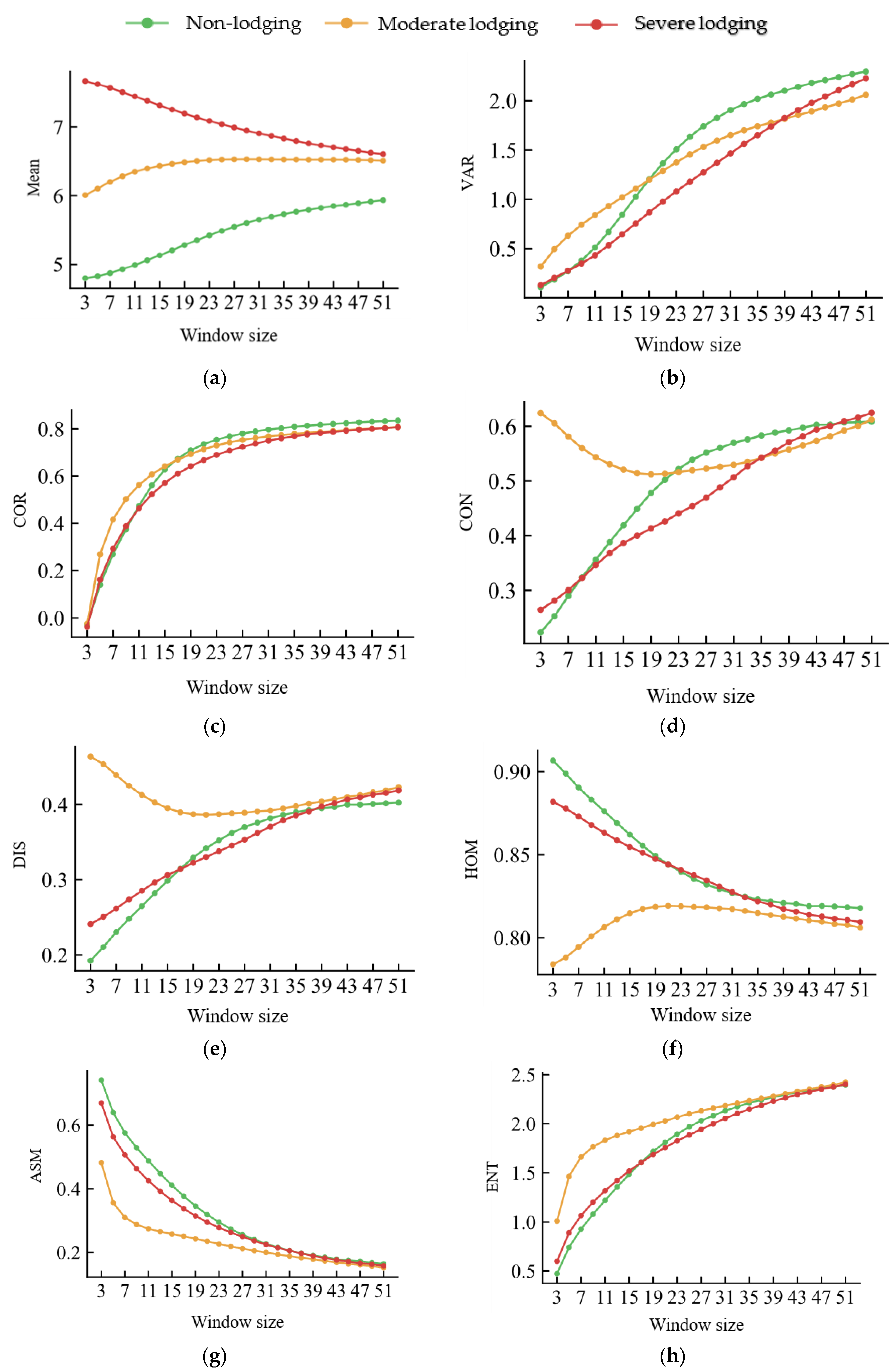 Remotesensing 15 00894 g010 Remotesensing 15 00894 g010