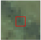 Remotesensing 15 00894 i003 Remotesensing 15 00894 i003