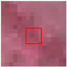 Remotesensing 15 00894 i004 Remotesensing 15 00894 i004