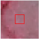 Remotesensing 15 00894 i006 Remotesensing 15 00894 i006