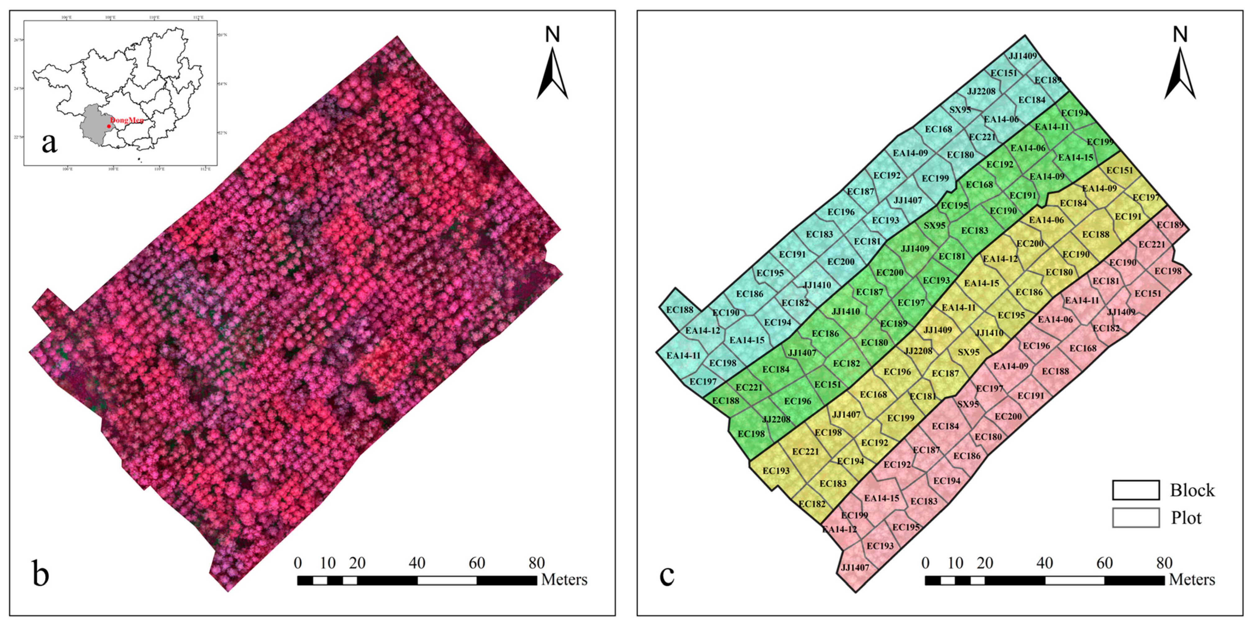 Remotesensing 15 00899 g002