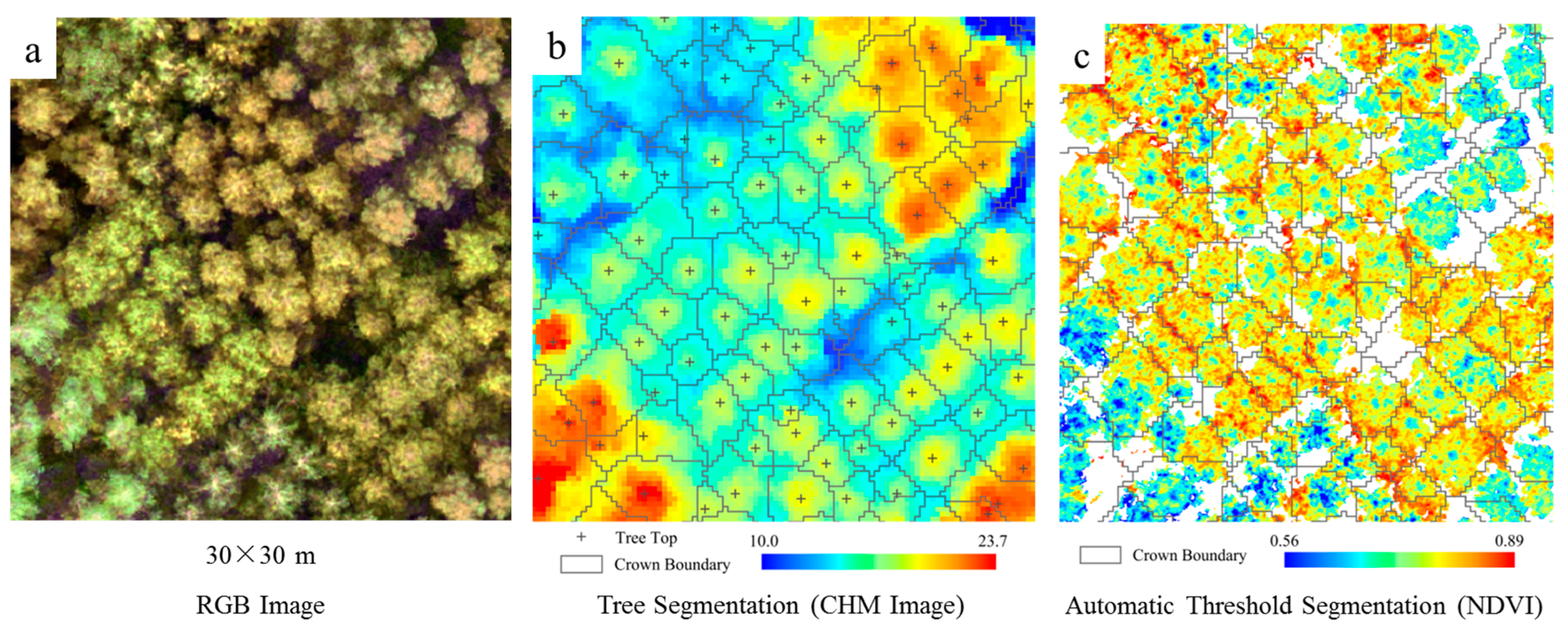 Remotesensing 15 00899 g004