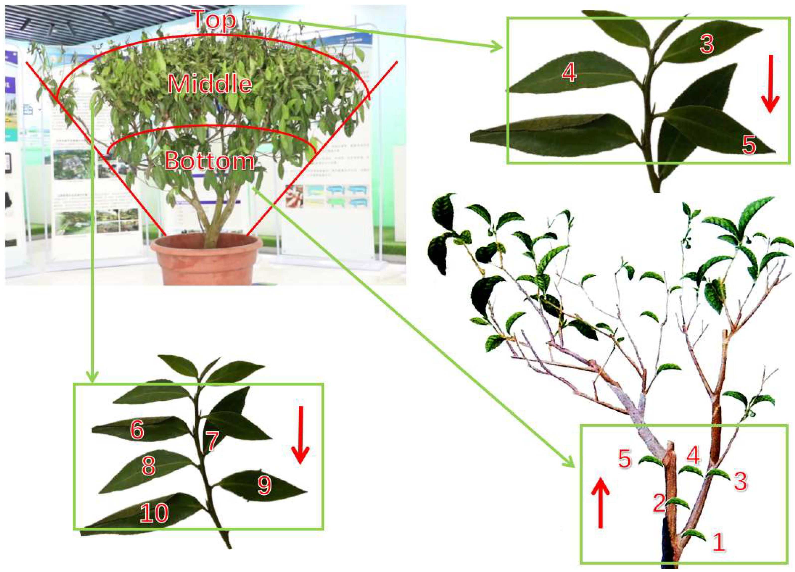 Remotesensing 15 00935 g004 Remotesensing 15 00935 g004