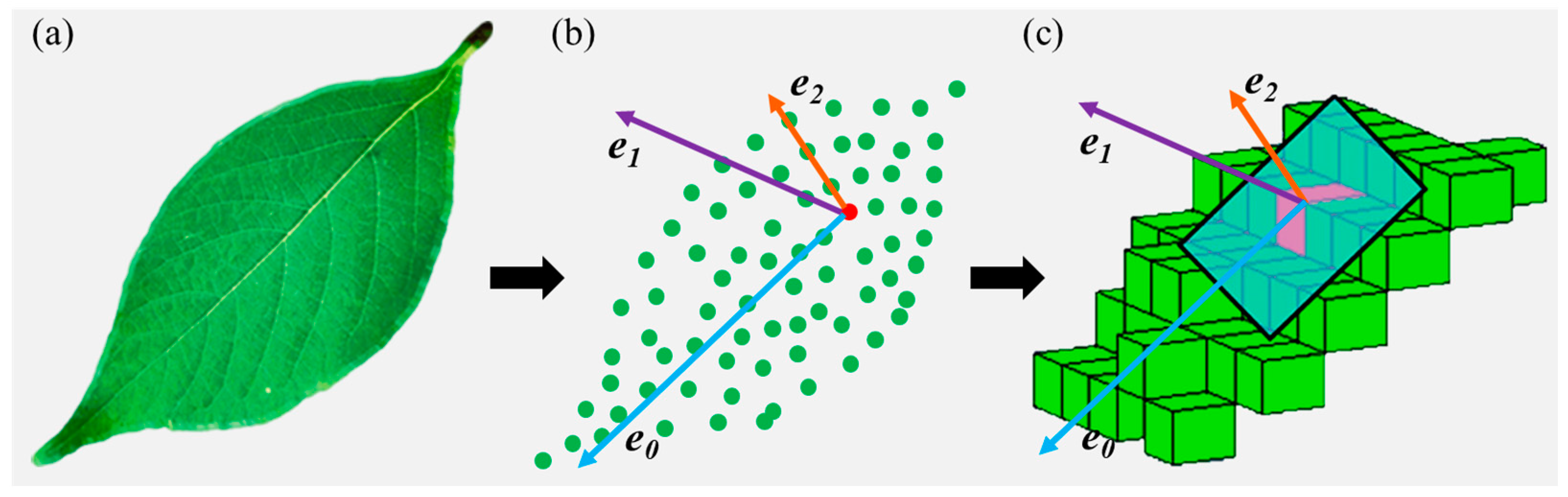 Remotesensing 15 00946 g002