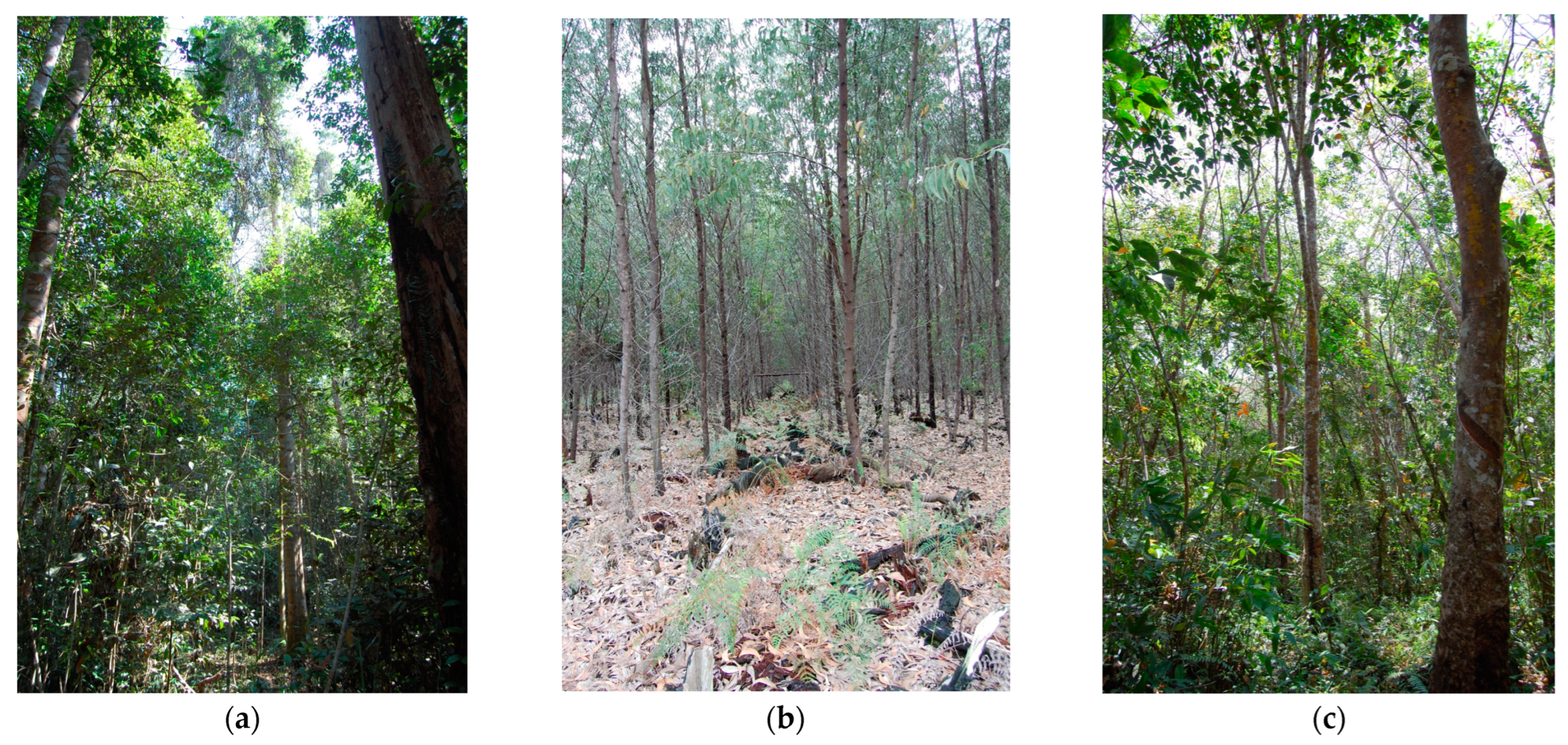 Remotesensing 15 00947 g002