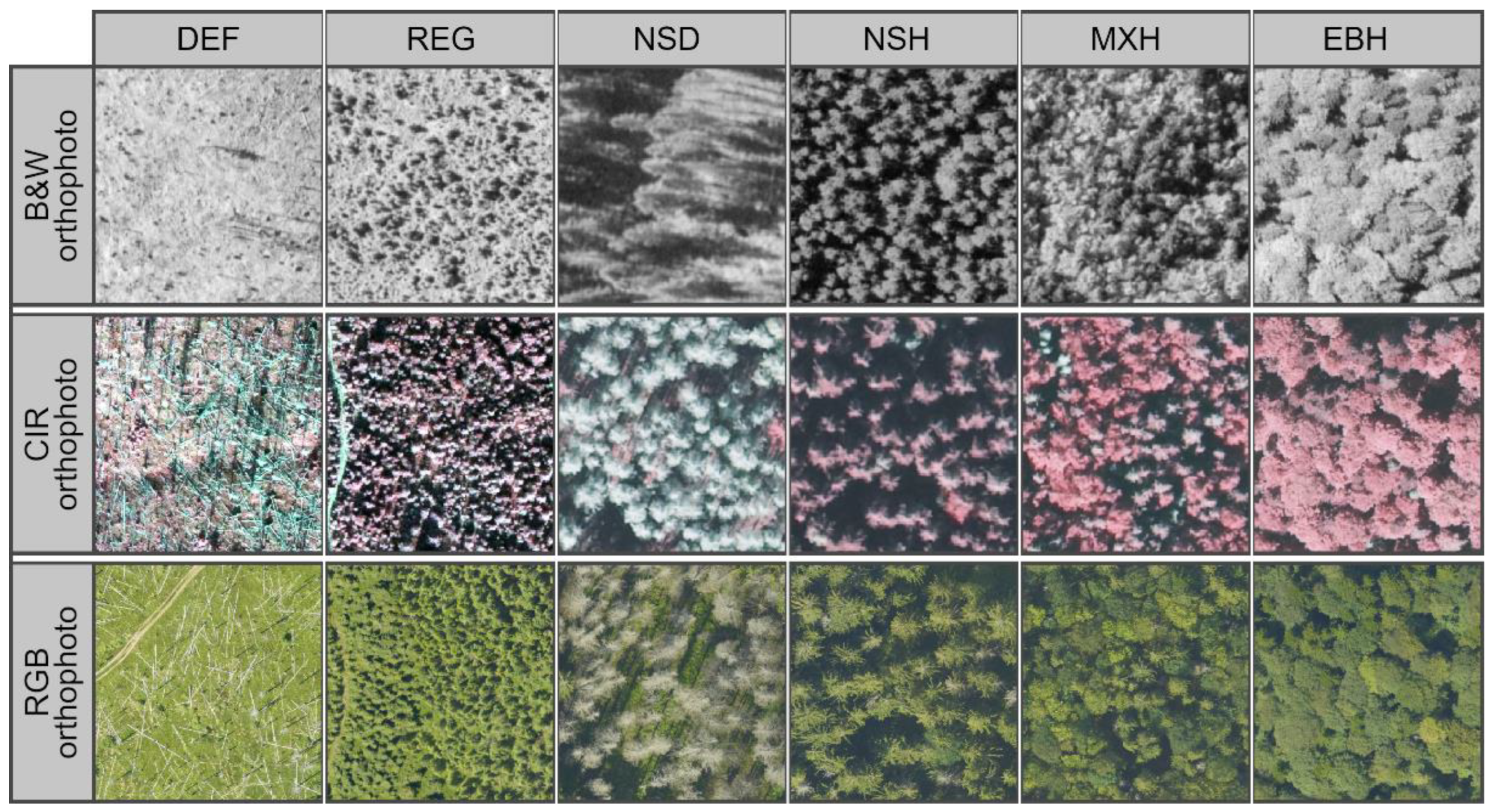 Remotesensing 15 00951 g002 Remotesensing 15 00951 g002