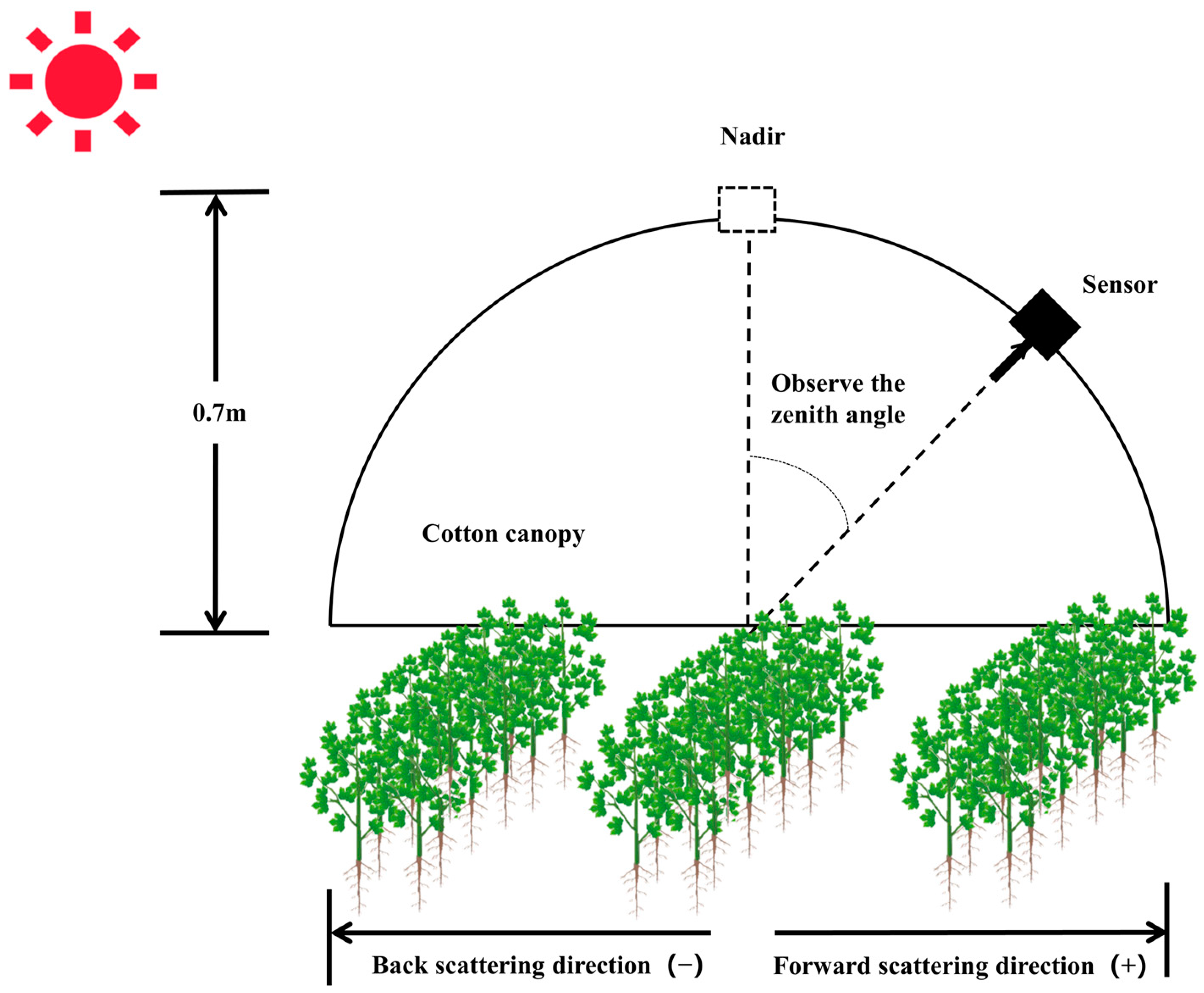 Remotesensing 15 00955 g002 Remotesensing 15 00955 g002
