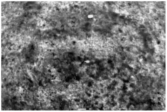 UAV Thermal Imaging for Unexploded Ordnance Detection by Using Deep ...