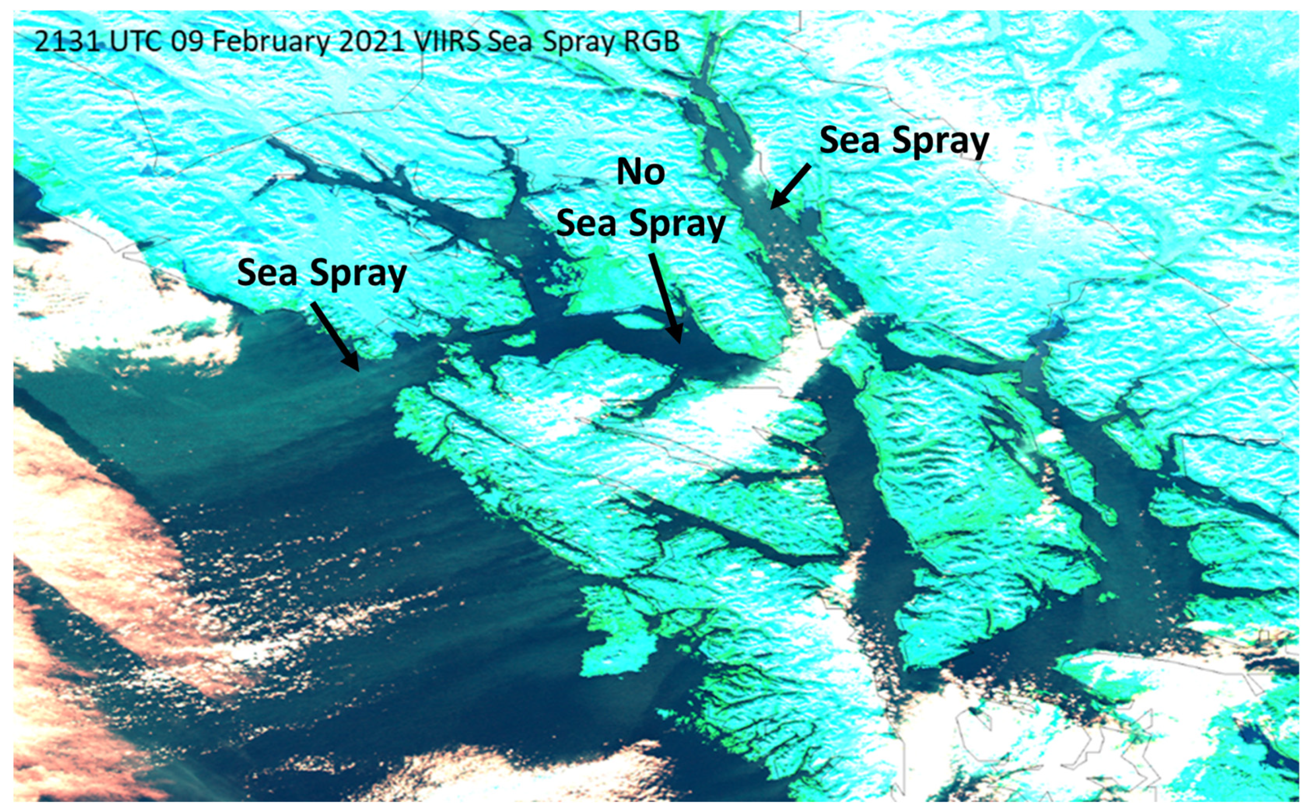 Remotesensing 15 00976 g002