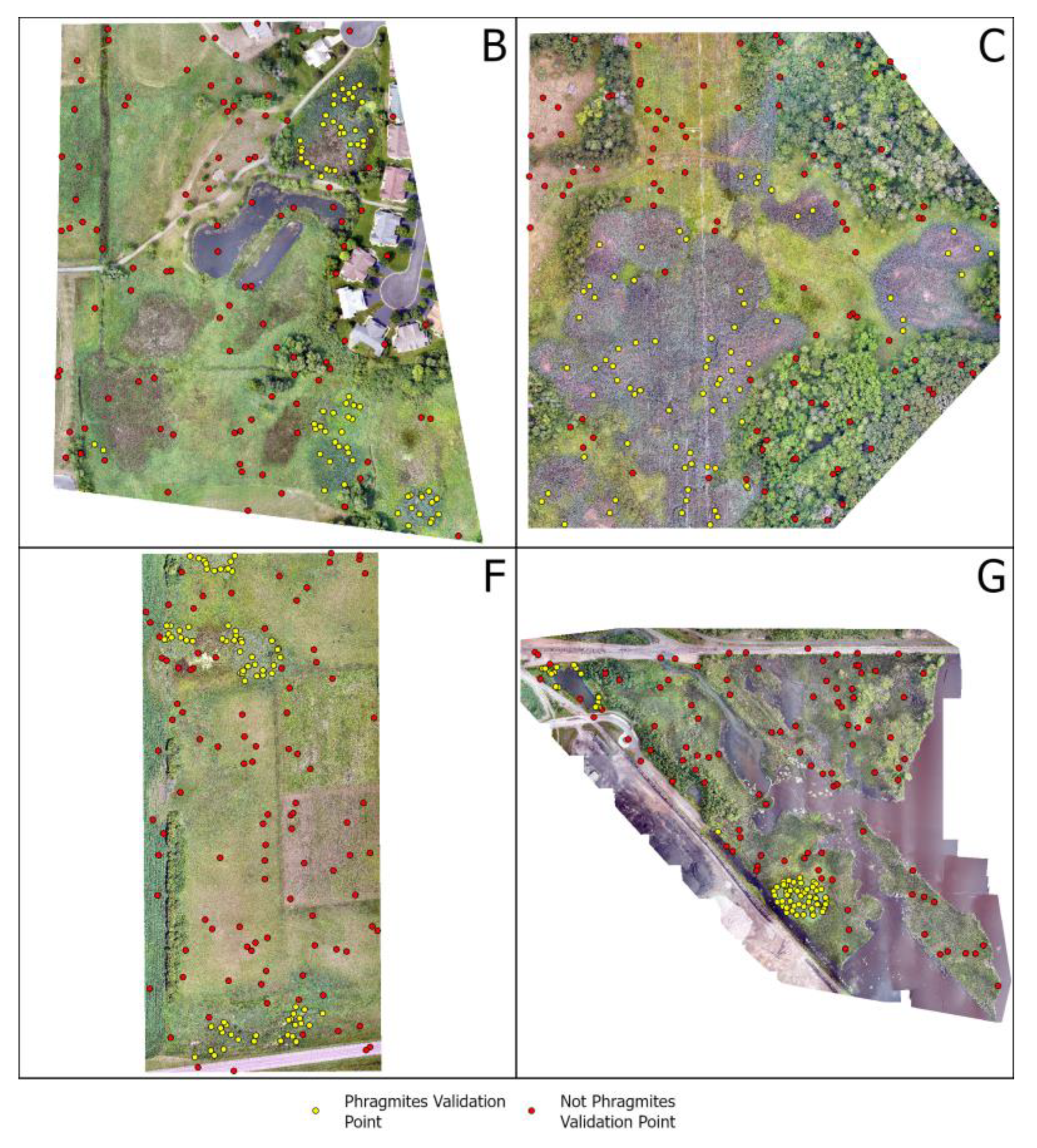 Remotesensing 15 00989 g006