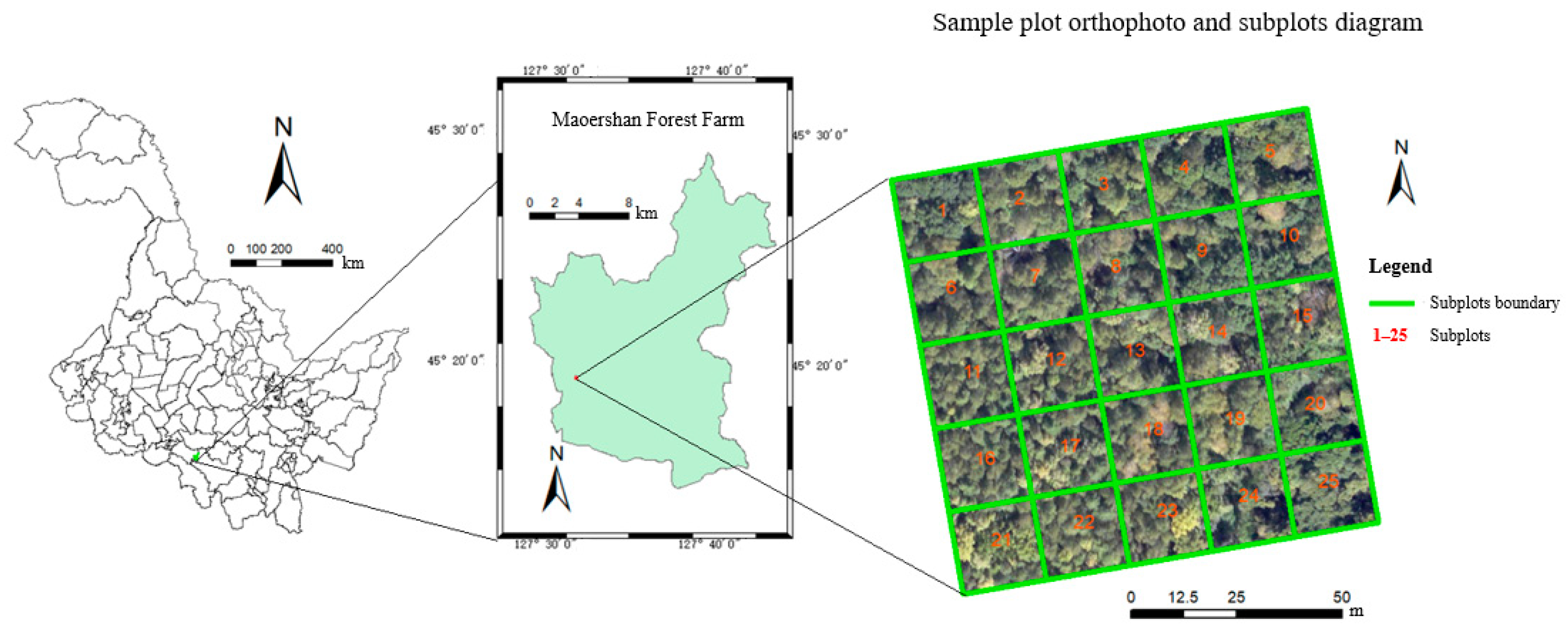 Remotesensing 15 01000 g001