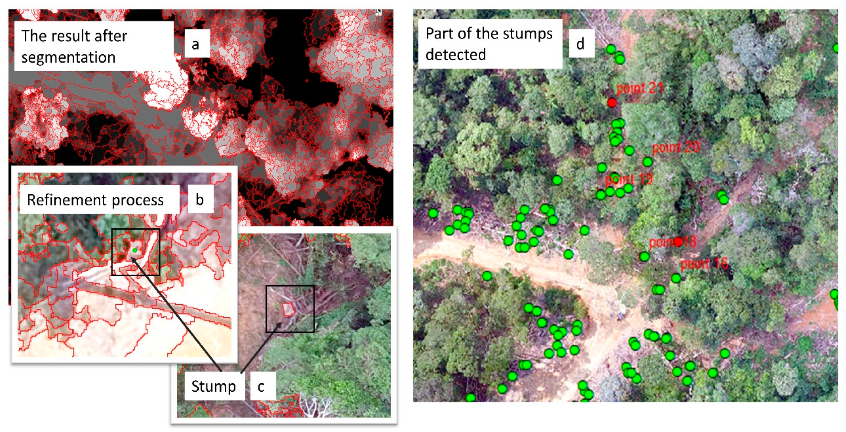 Remotesensing 15 01016 g003